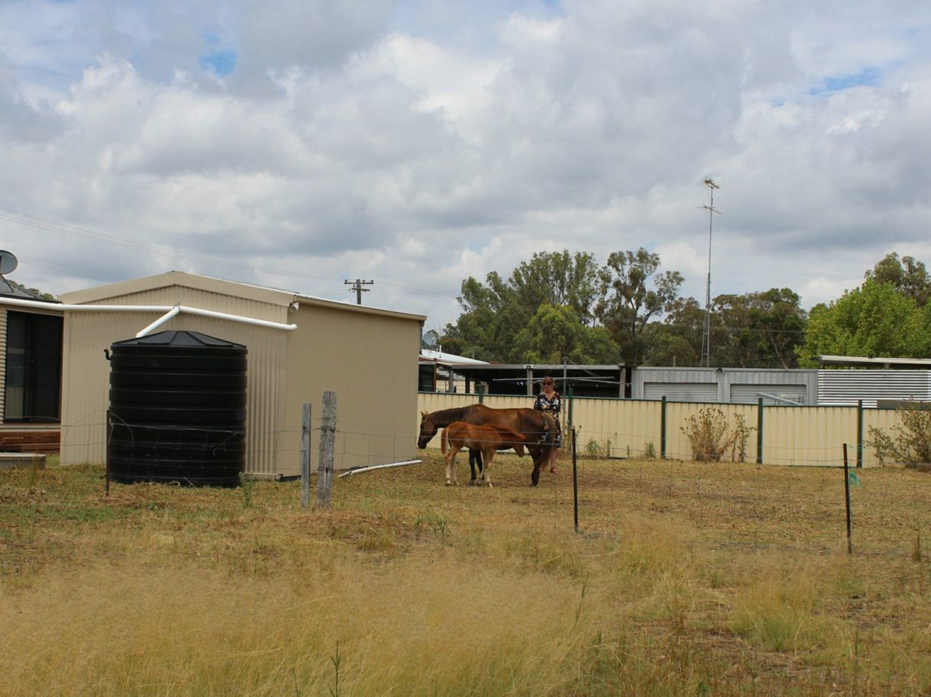 Casa nel Emmaville, New South Wales 11053461