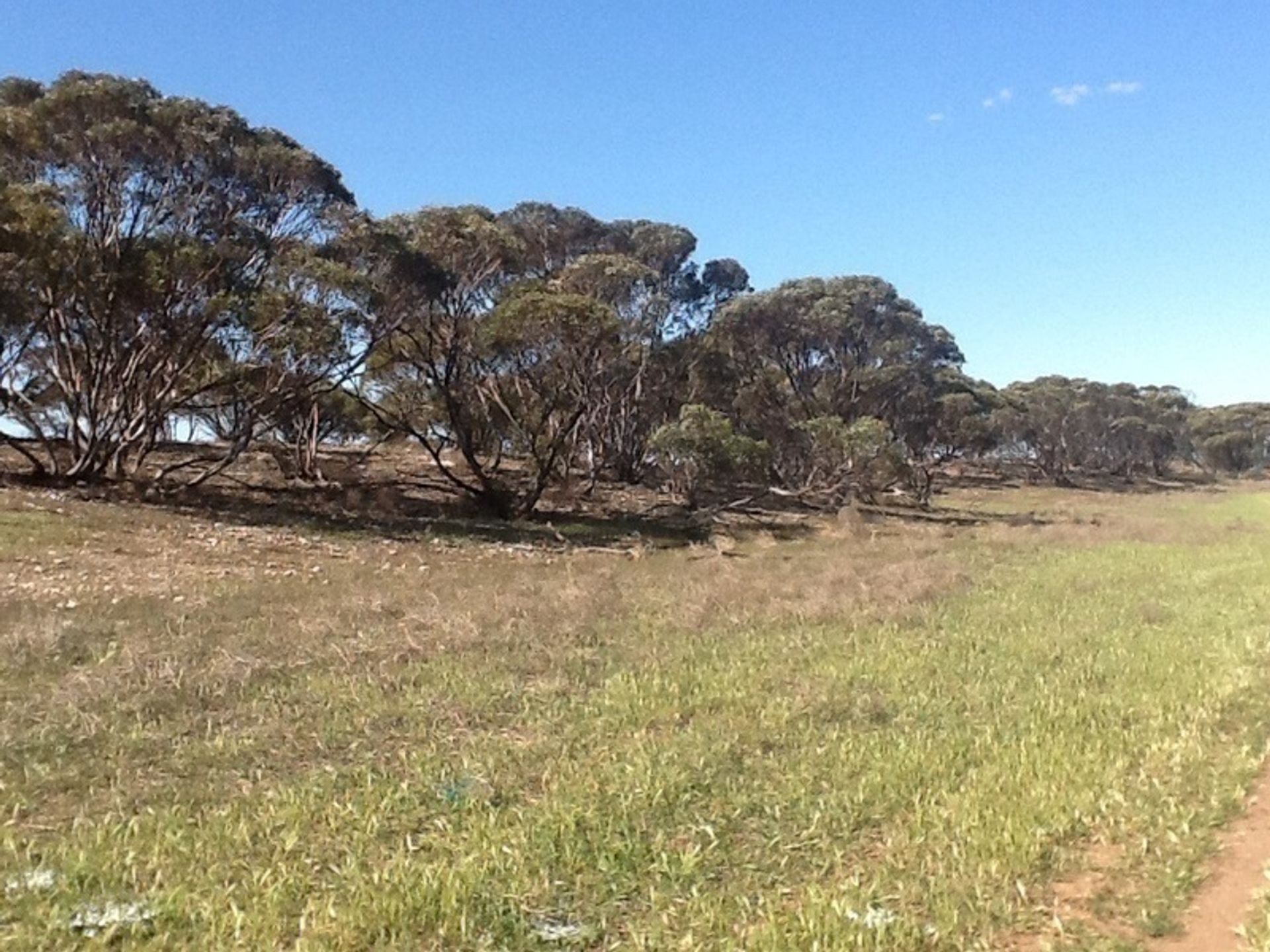 Tierra en ollas de barro, Sur de Australia 11053462