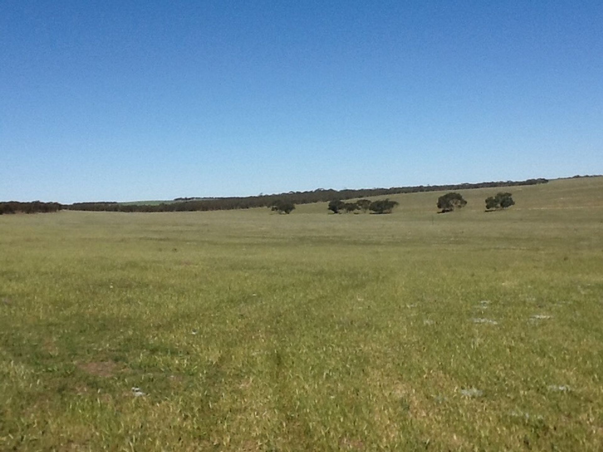 casa en ollas de barro, Sur de Australia 11053474