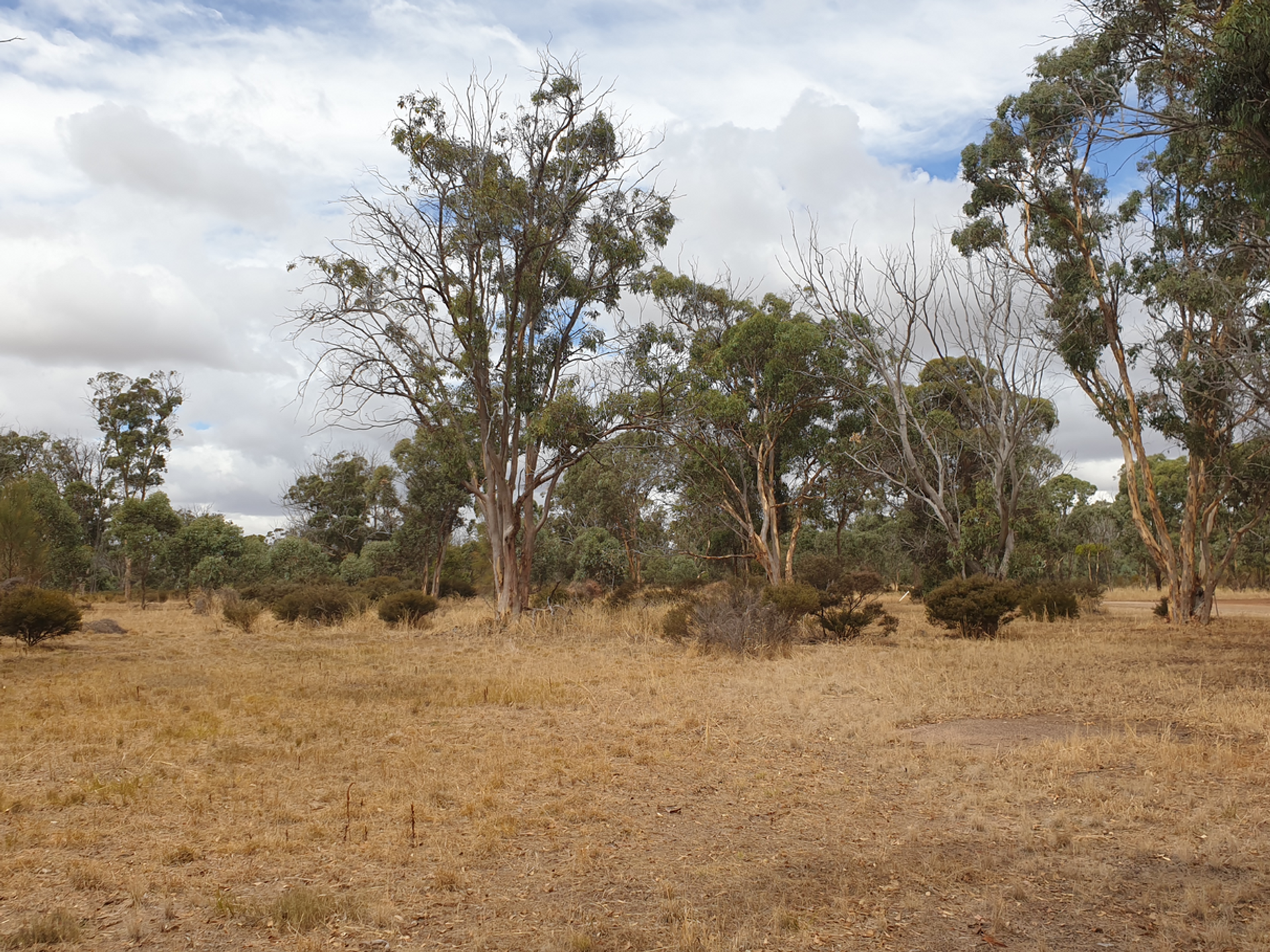 Tanah di Broomehill, Australia Barat 11053500