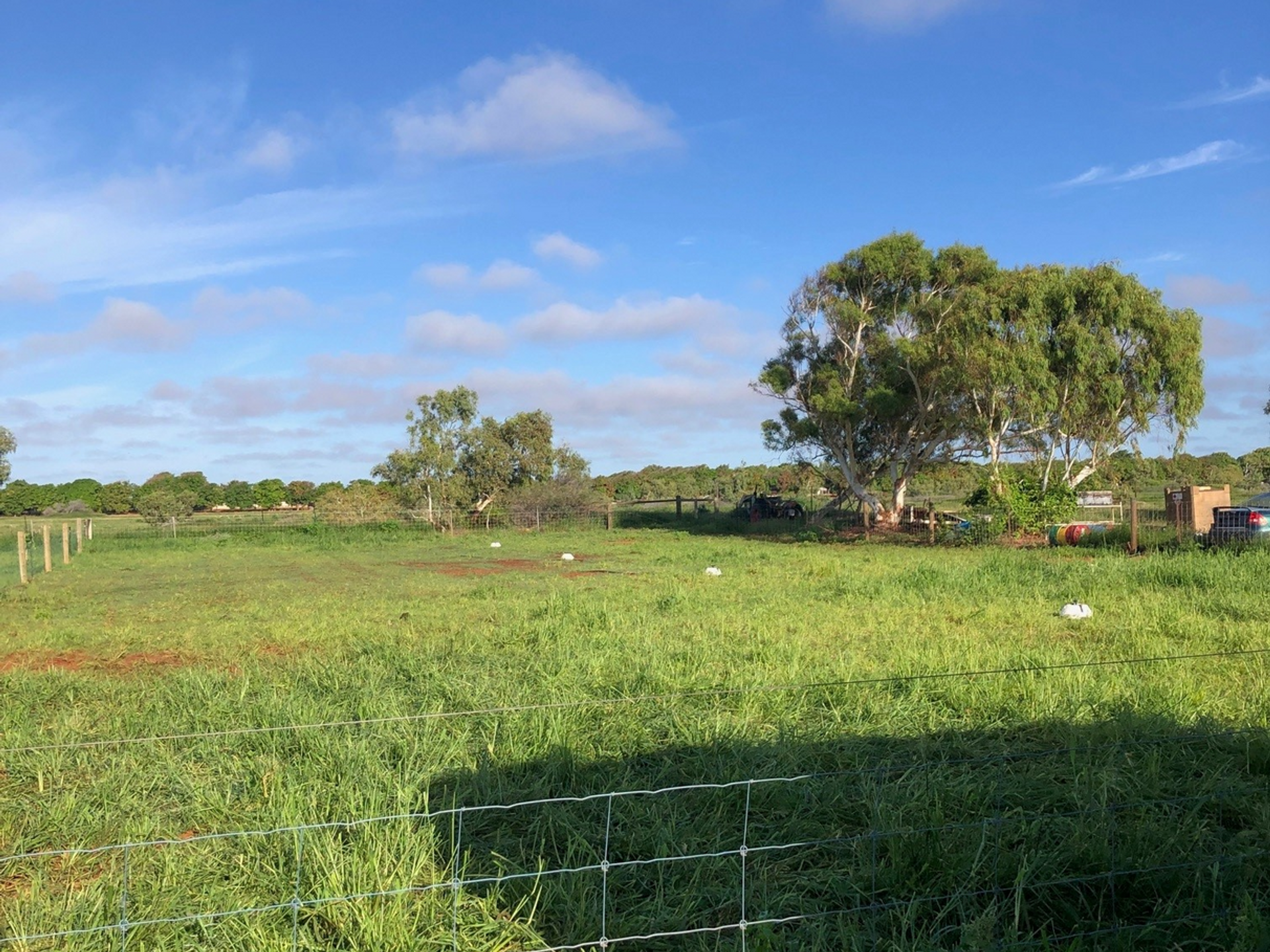 casa no Carnarvon, Austrália Ocidental 11053514