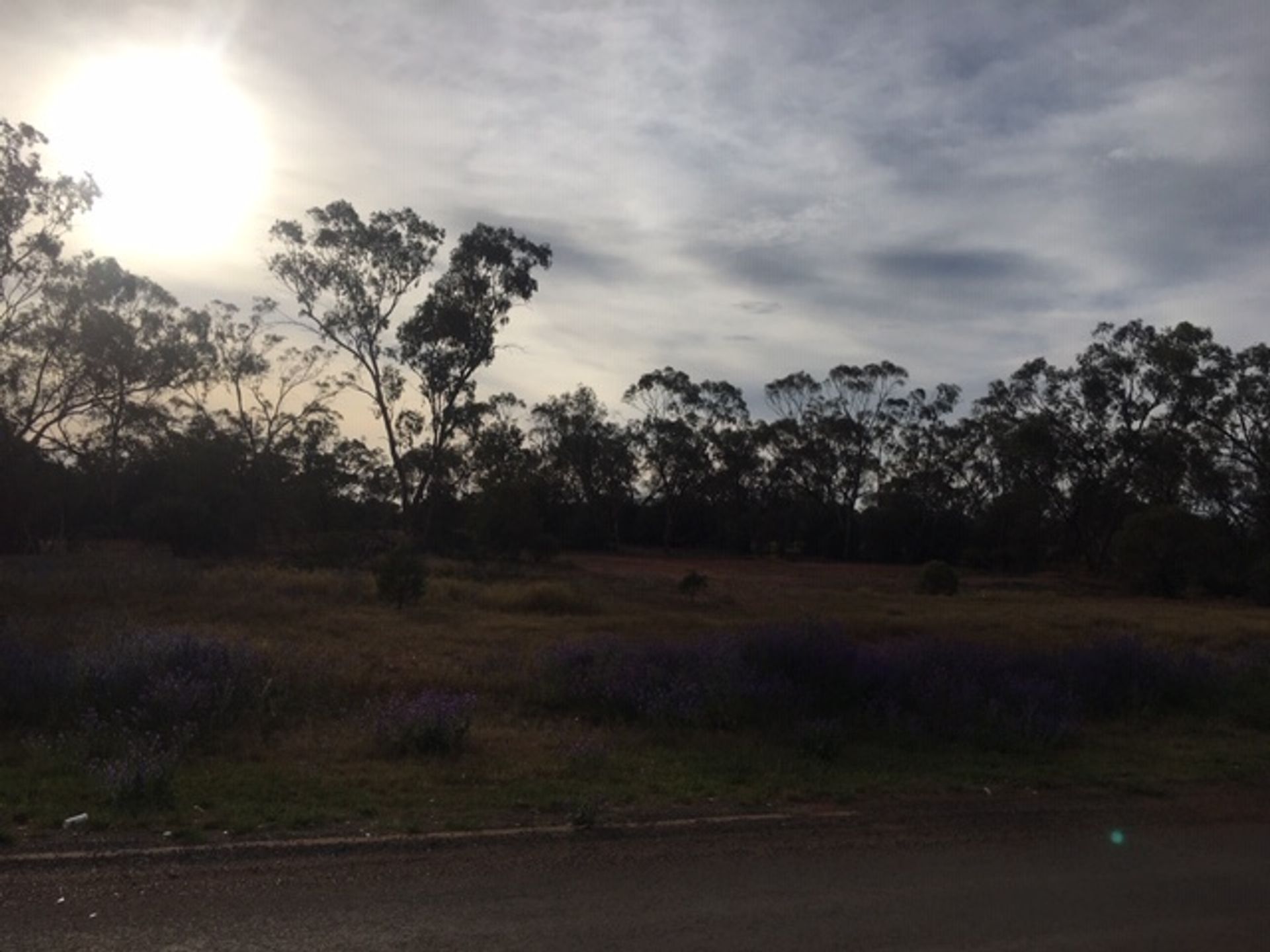 Tierra en Cobar, New South Wales 11053552