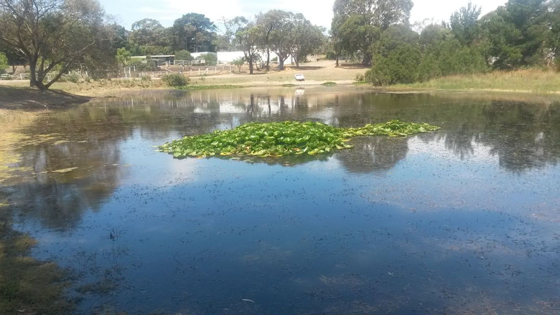 Talo sisään Moorooduc, Victoria 11053573