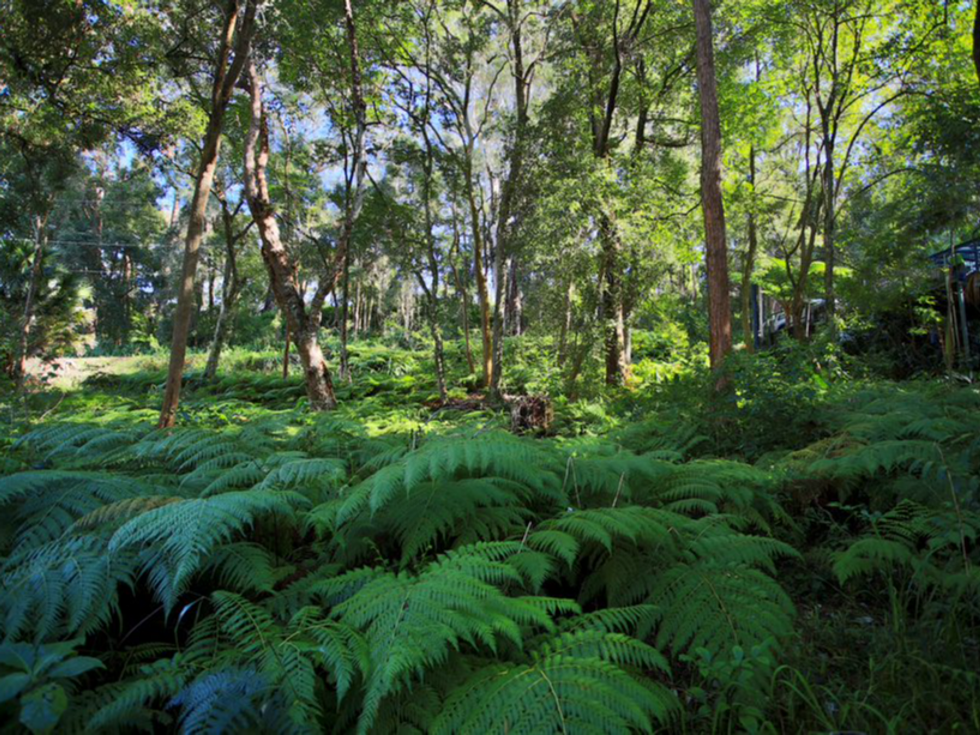 Land im Smiths Lake, New South Wales 11053600