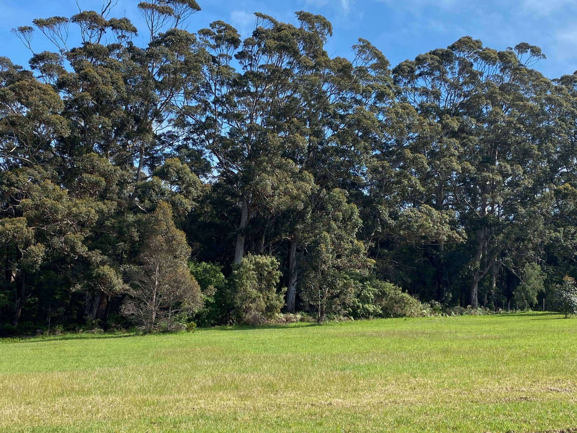 Tierra en Dinamarca, El oeste de Australia 11053623