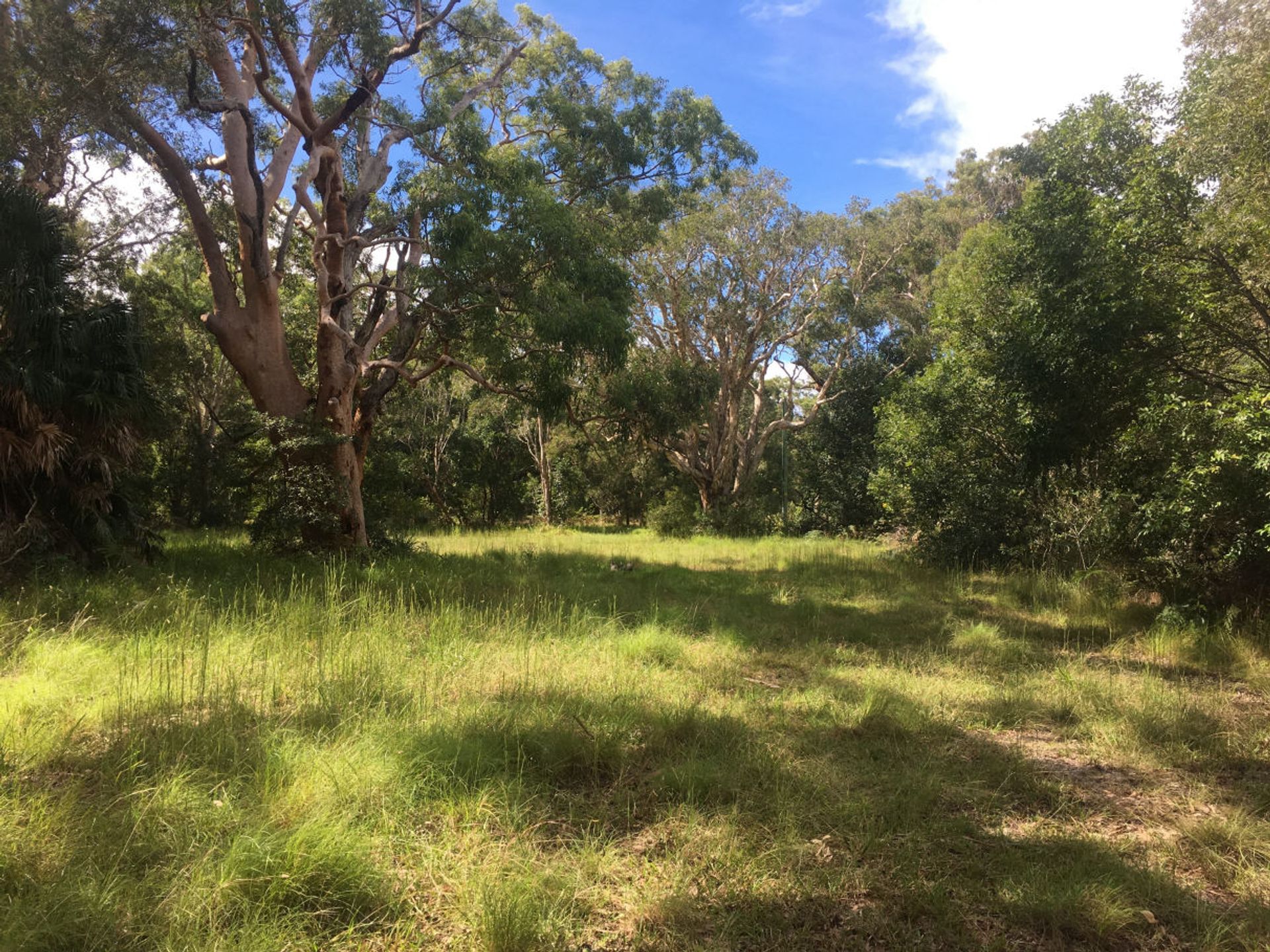 土地 在 Forster, New South Wales 11053670