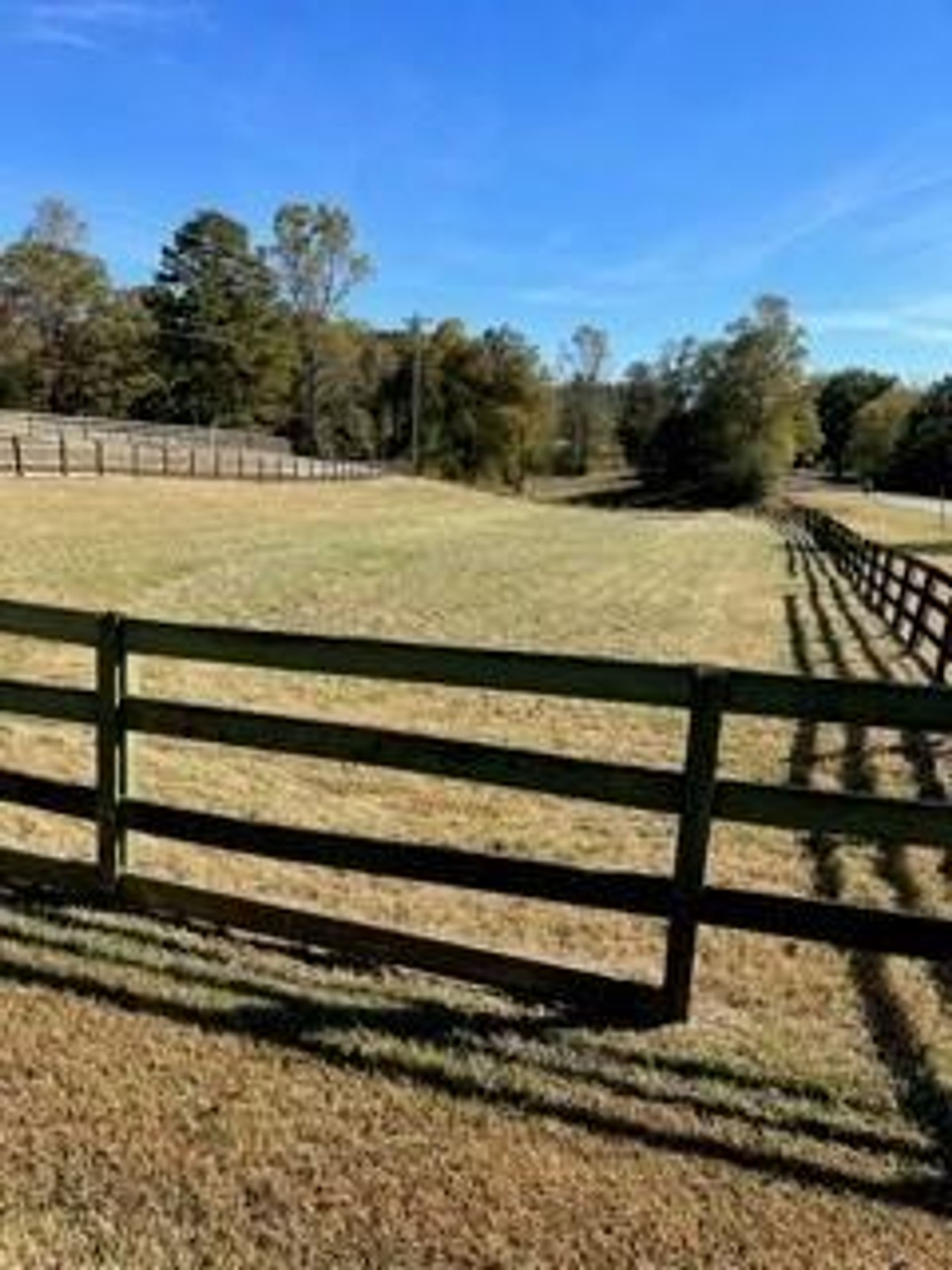 Huis in Dawsonville, Georgia 11053893