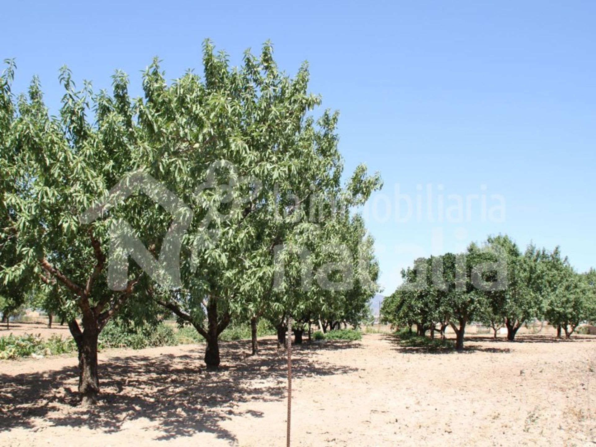 Hus i Lorca, Región de Murcia 11055409