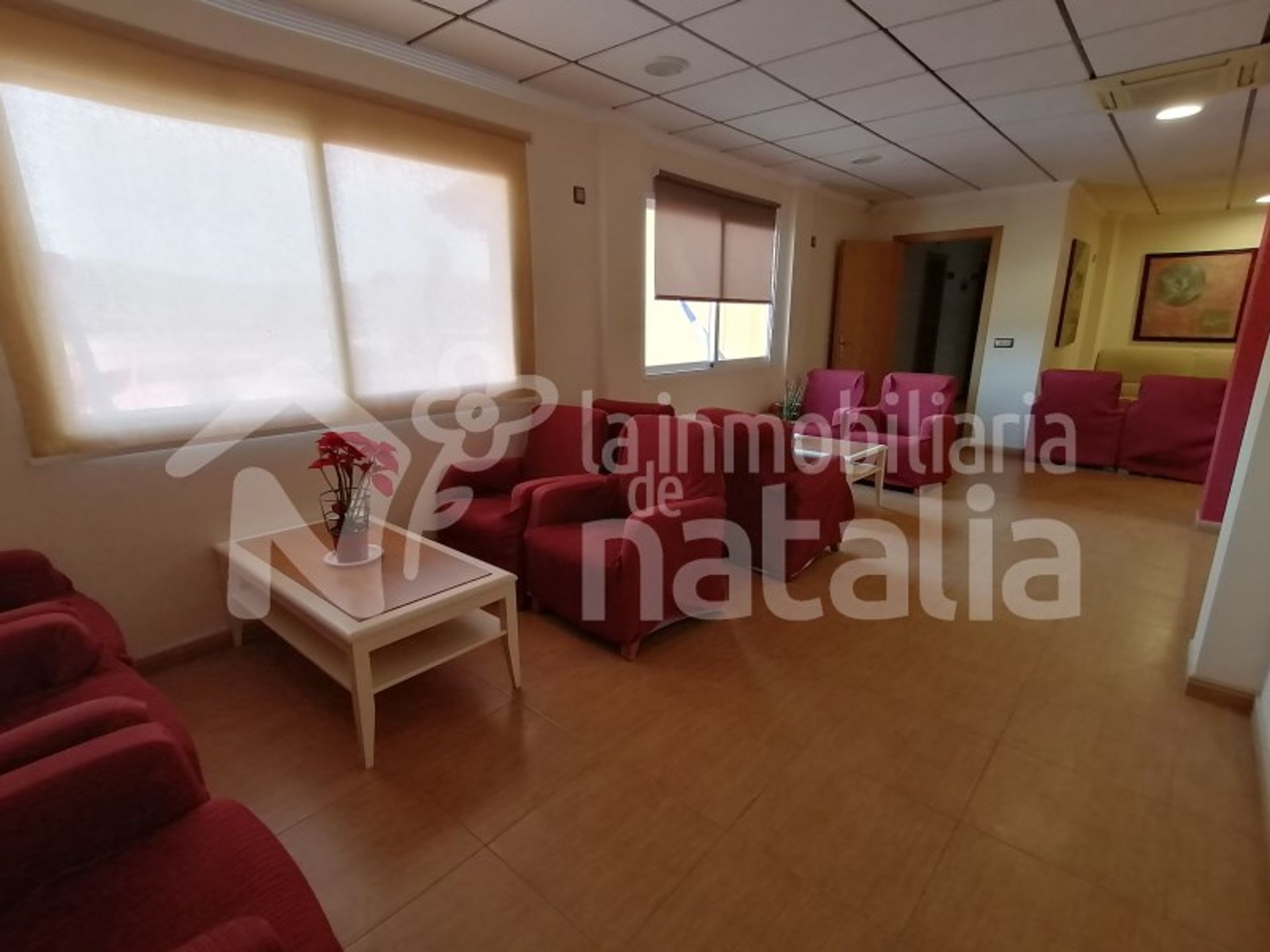 खुदरा में Aguilas, Murcia 11055436