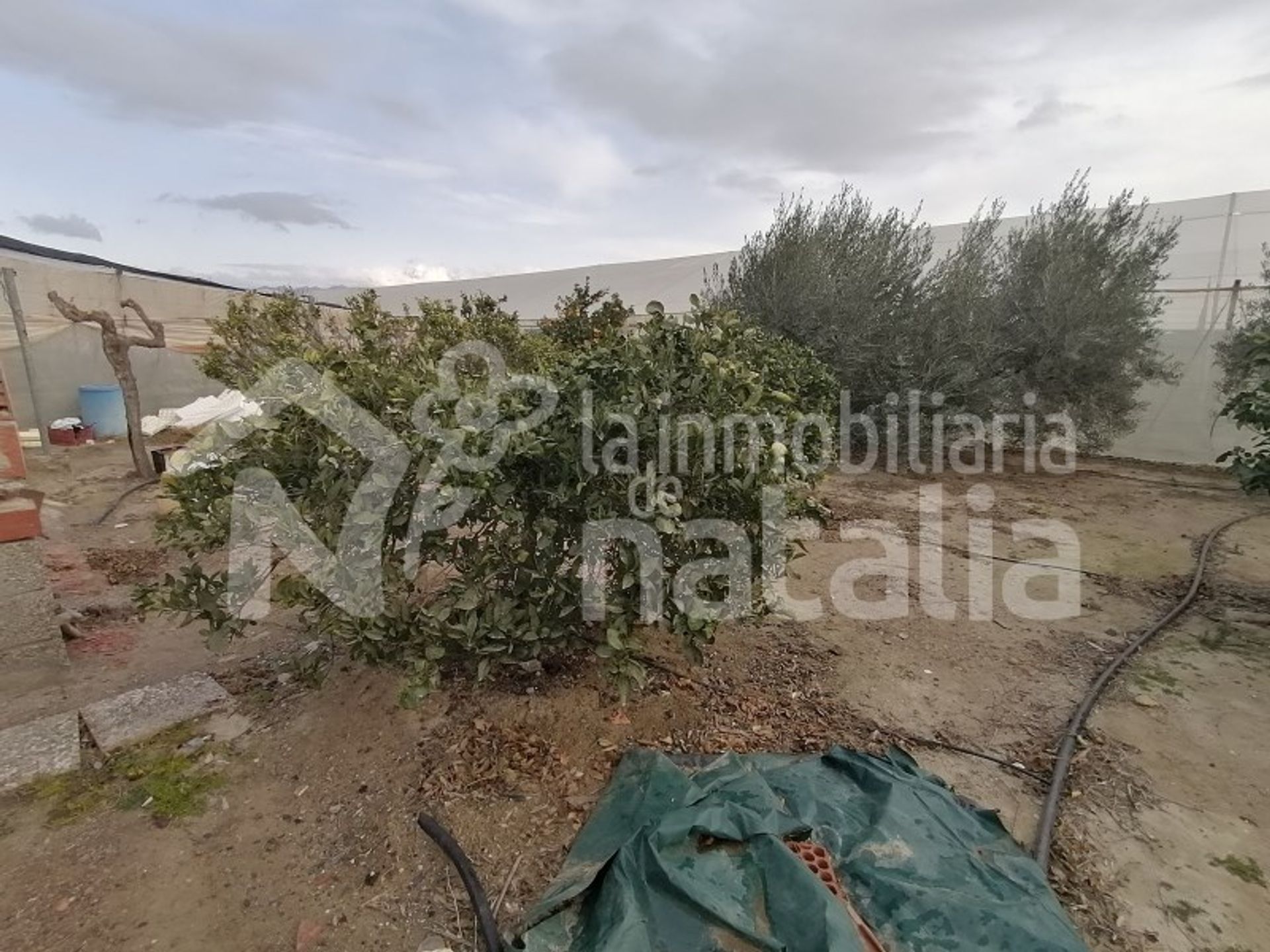 Wylądować w Águilas, Región de Murcia 11055438