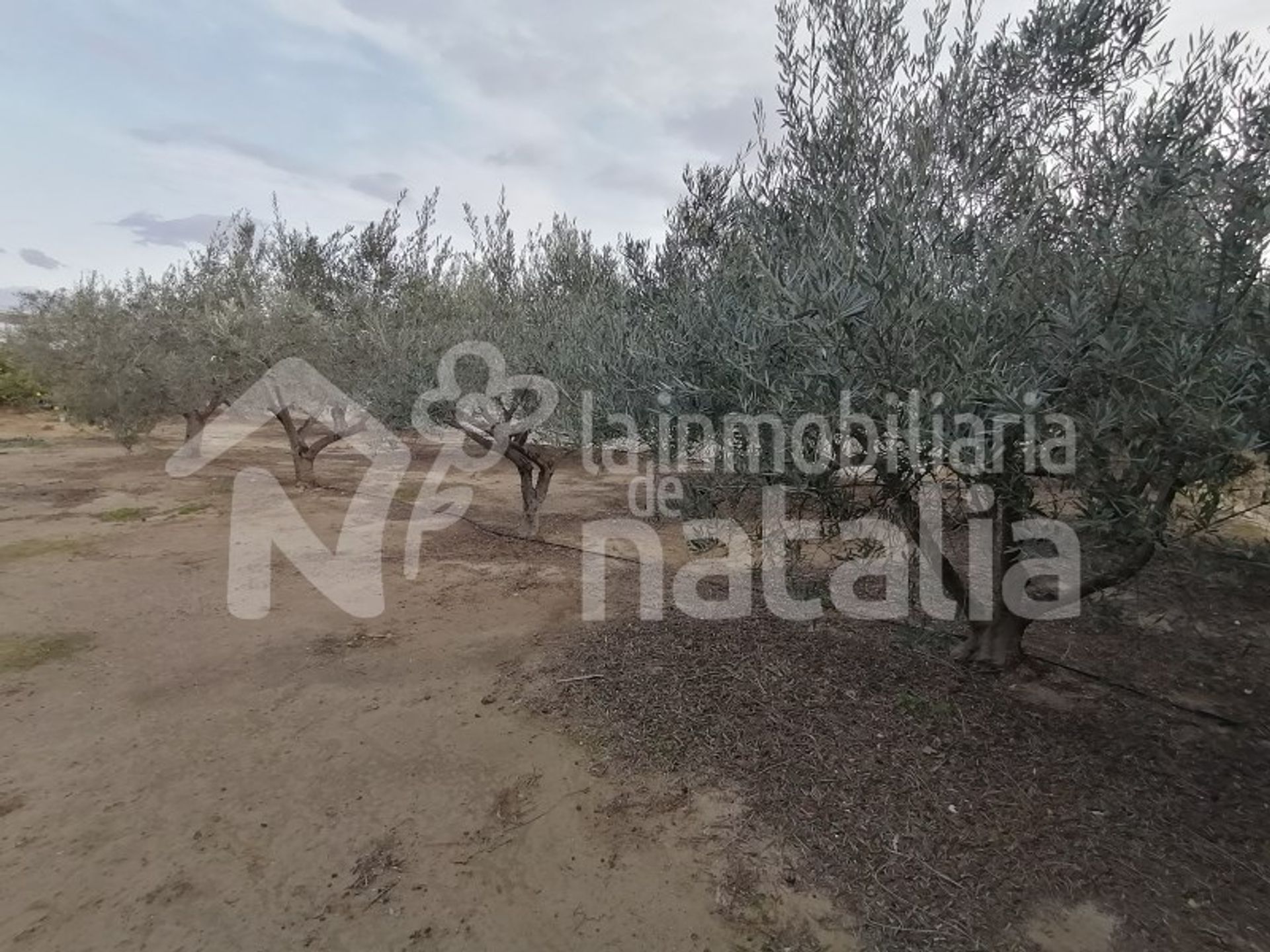 Wylądować w Águilas, Región de Murcia 11055438