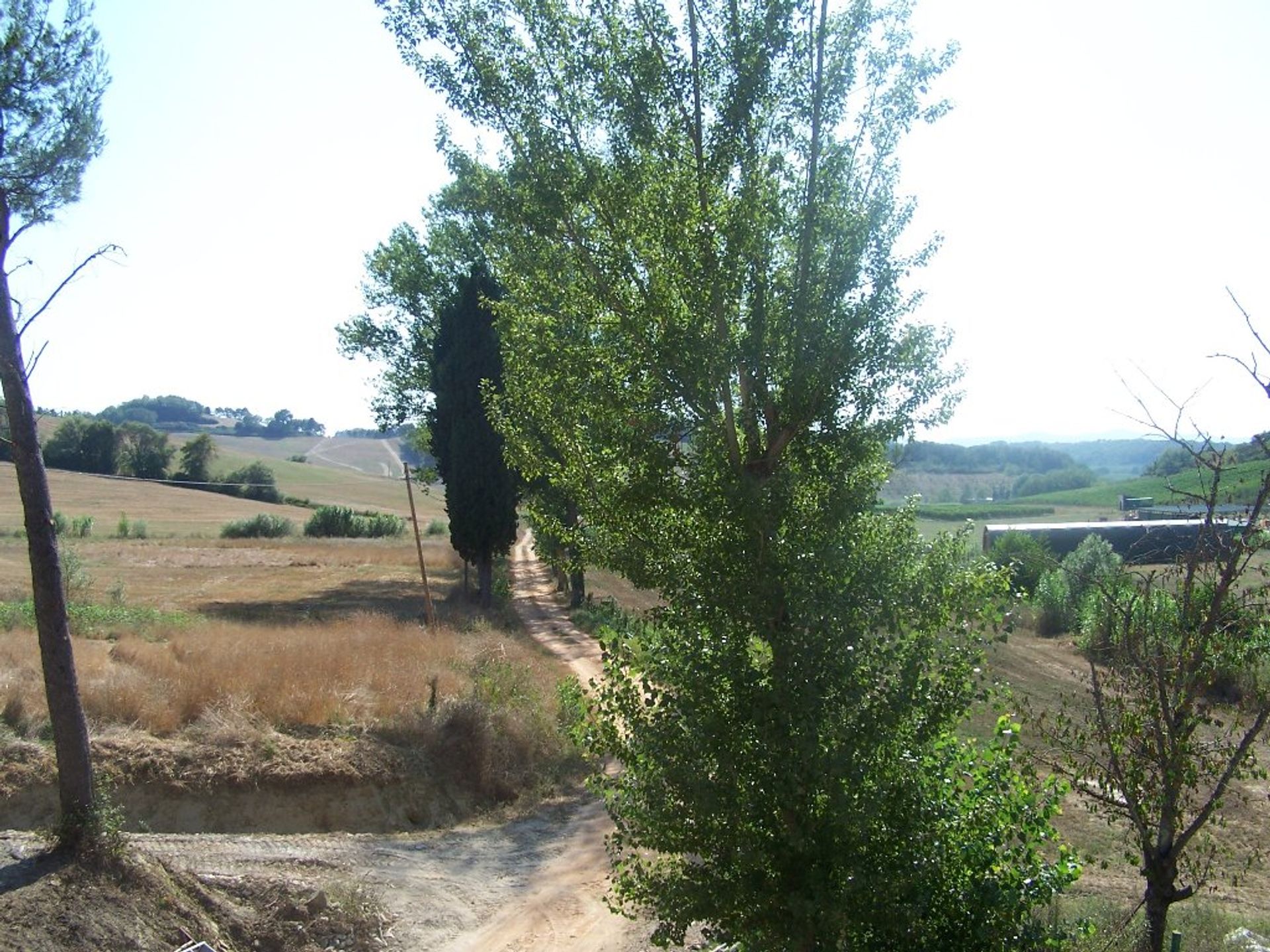 Talo sisään Lorenzana, Toscana 11055511