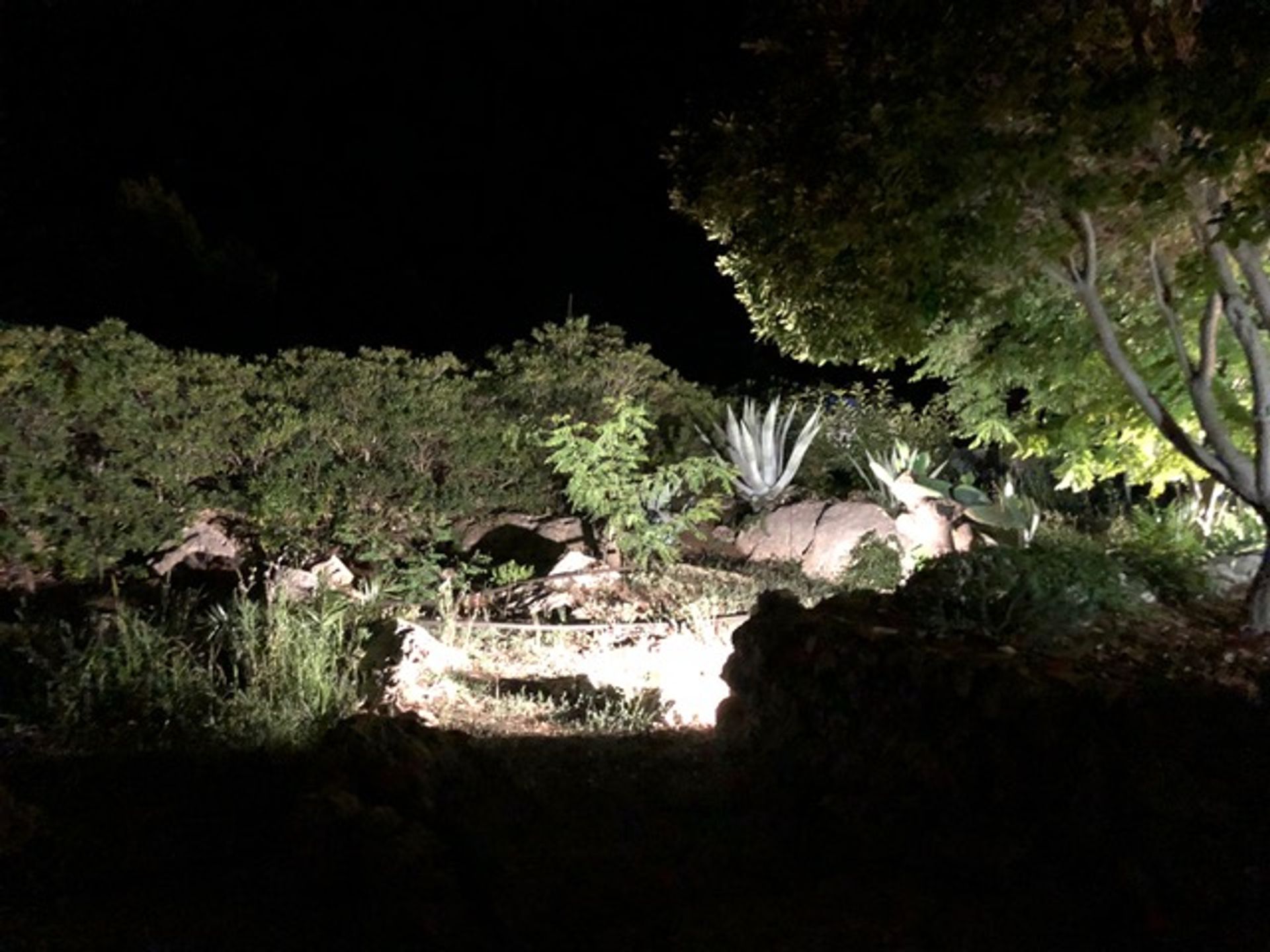 жилой дом в Gagliano del Capo, Apulia 11055526