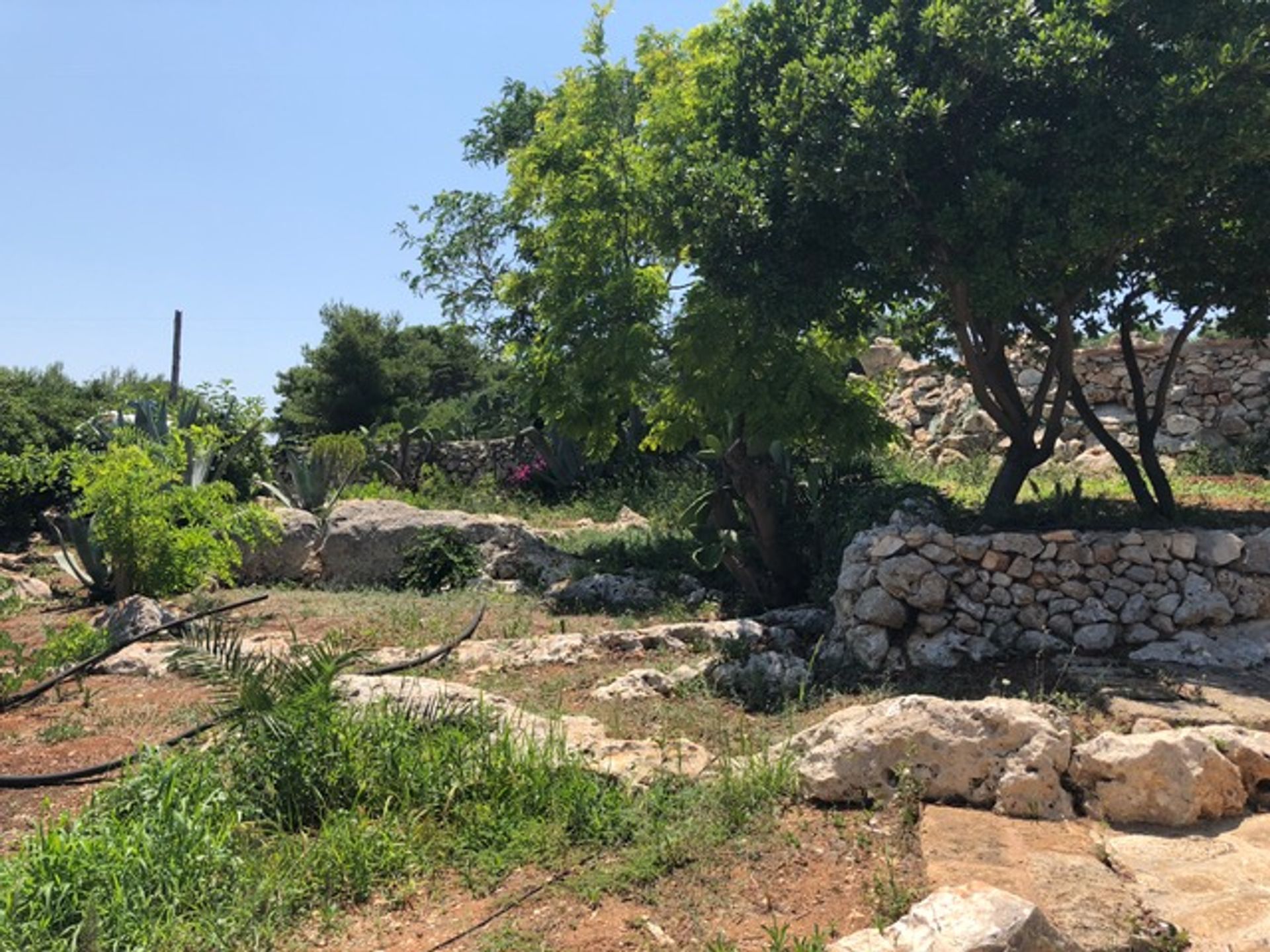 Casa nel Gagliano del Capo, Apulia 11055527