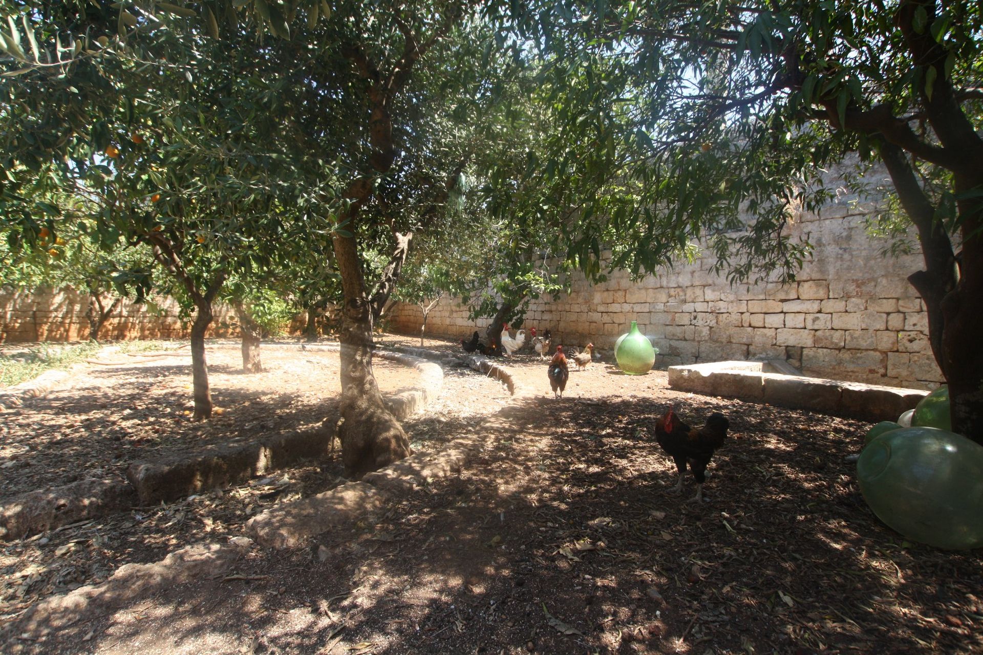 Casa nel Ostuni, Apulia 11055556