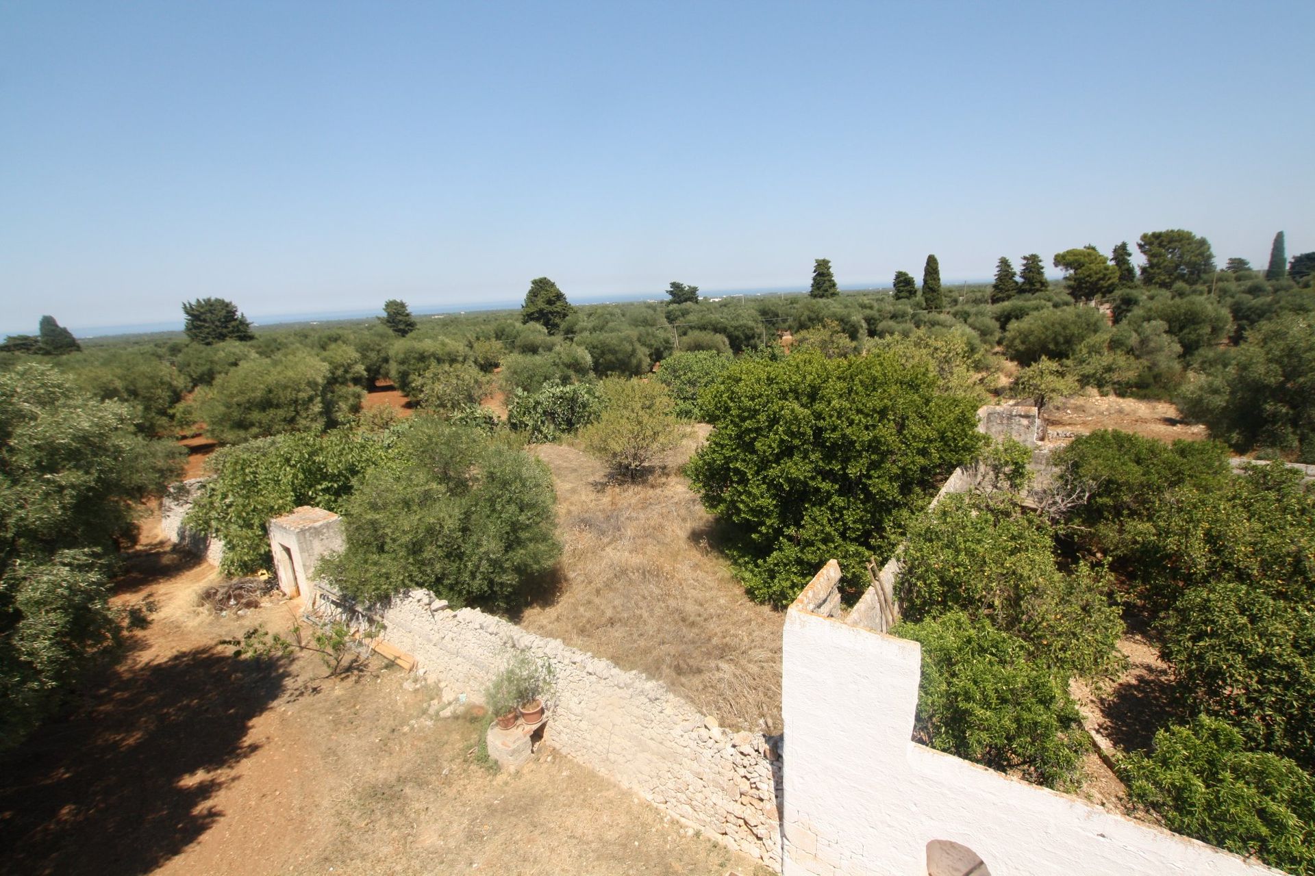 房子 在 Ostuni, Apulia 11055556