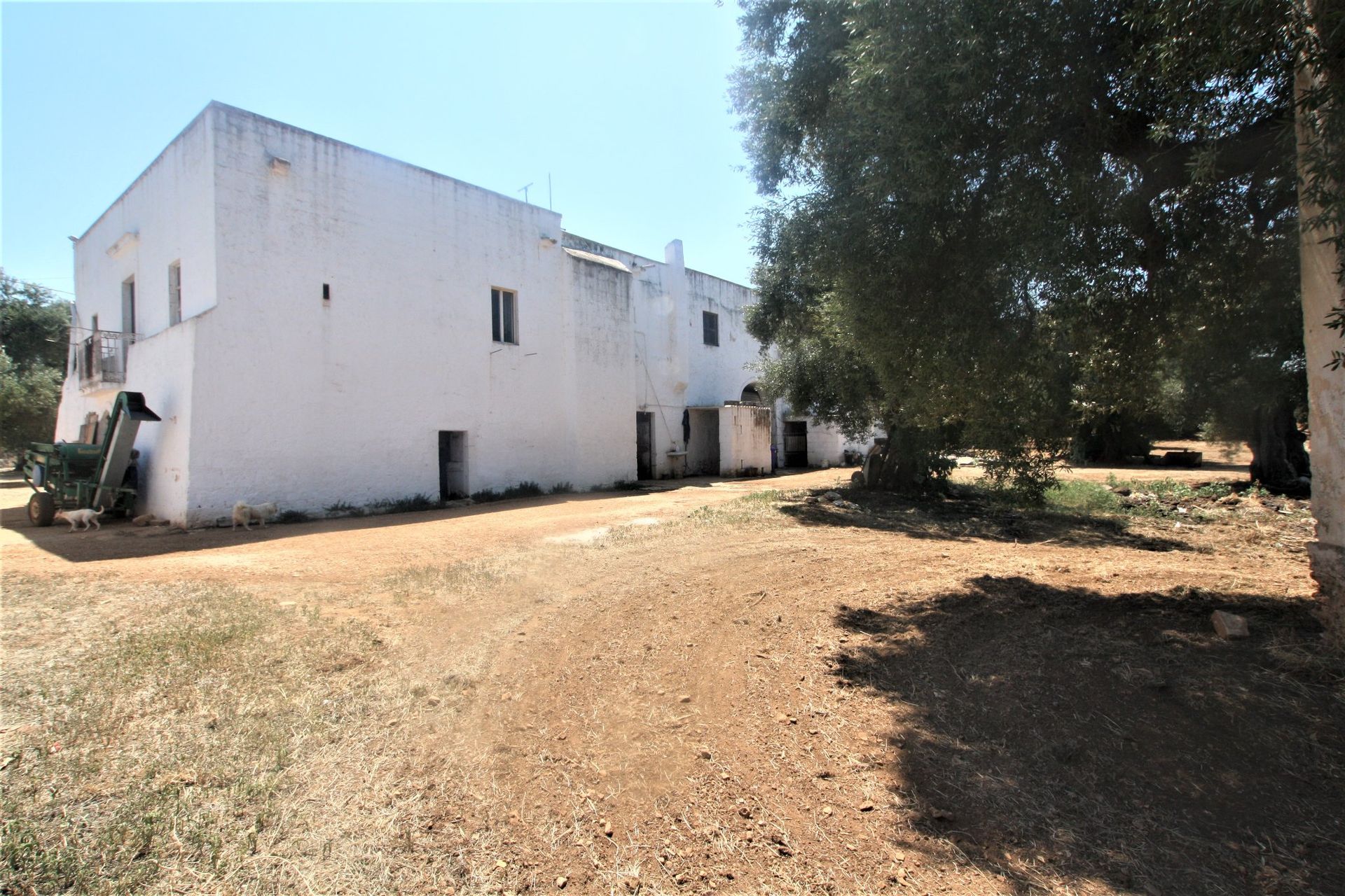 Casa nel Ostuni, Apulia 11055556