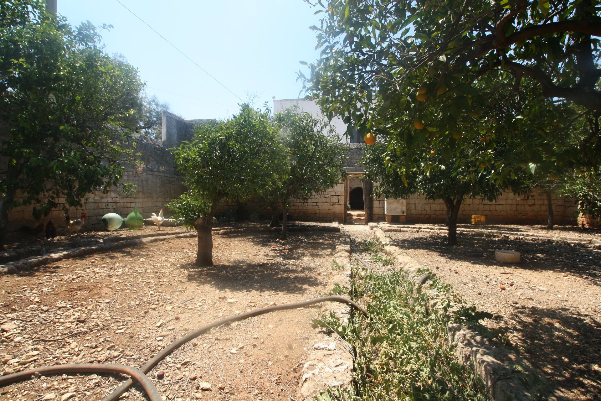 casa no Ostuni, Apulia 11055556