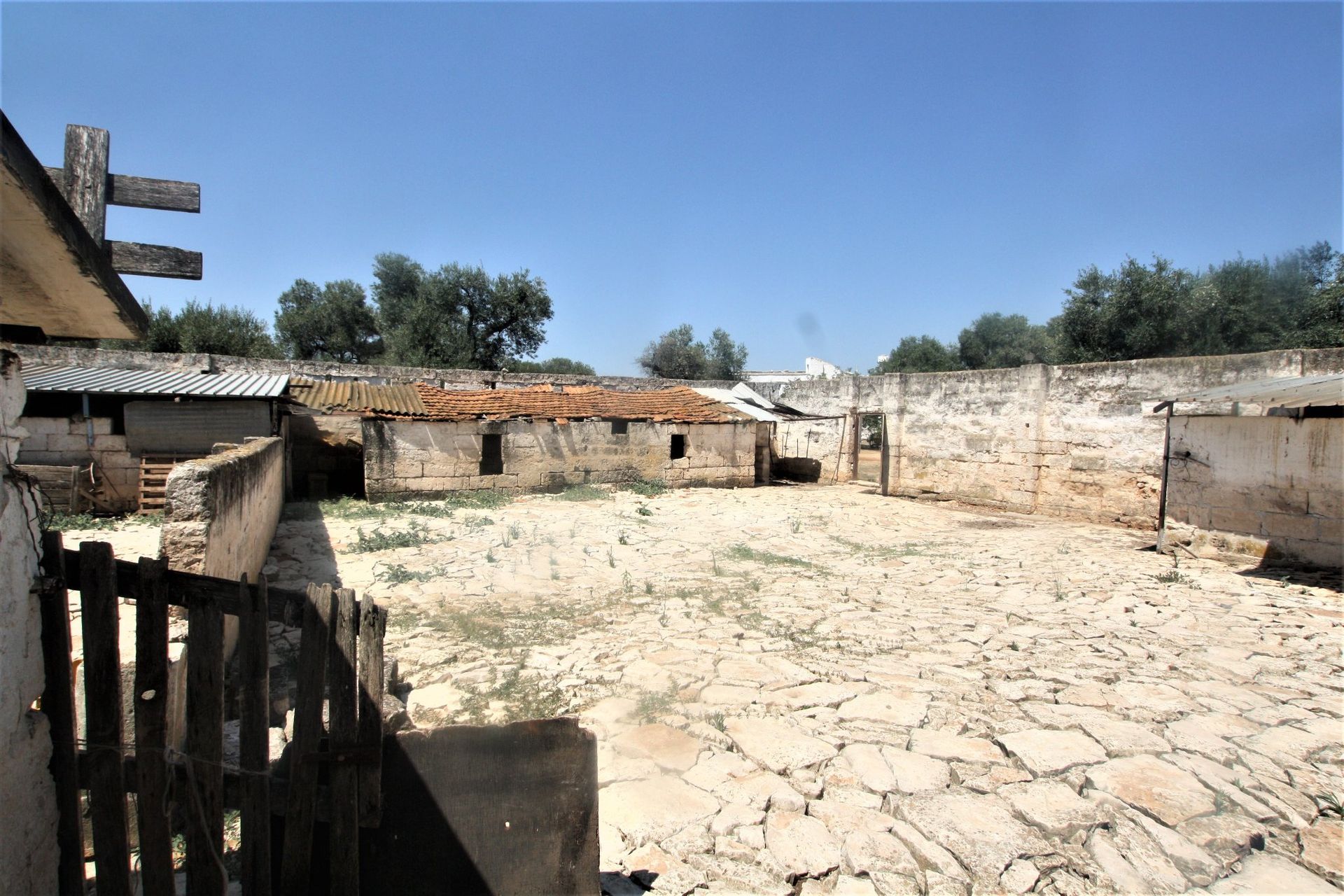 मकान में Ostuni, Apulia 11055556