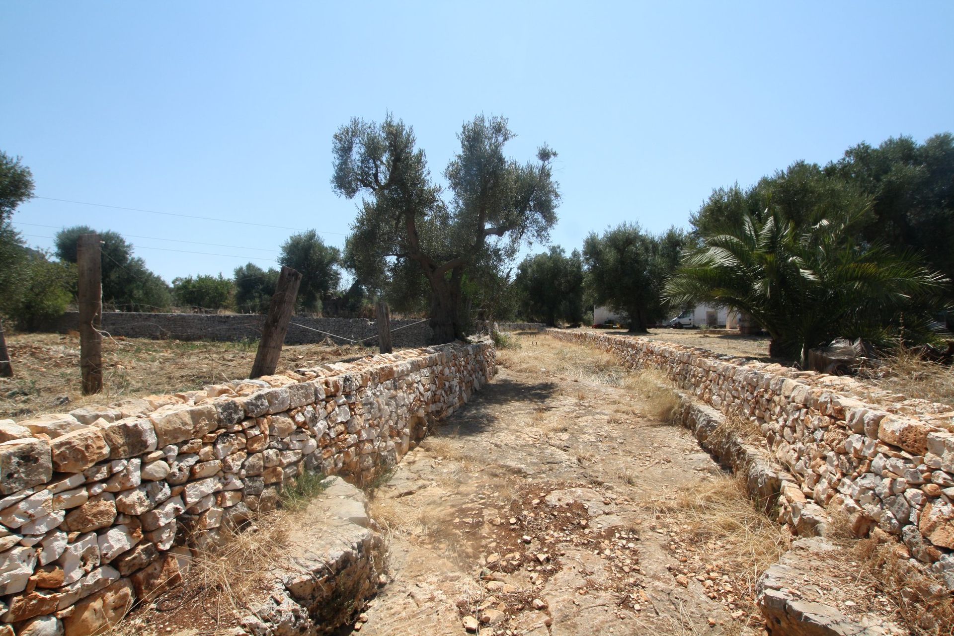 房子 在 Ostuni, Apulia 11055556