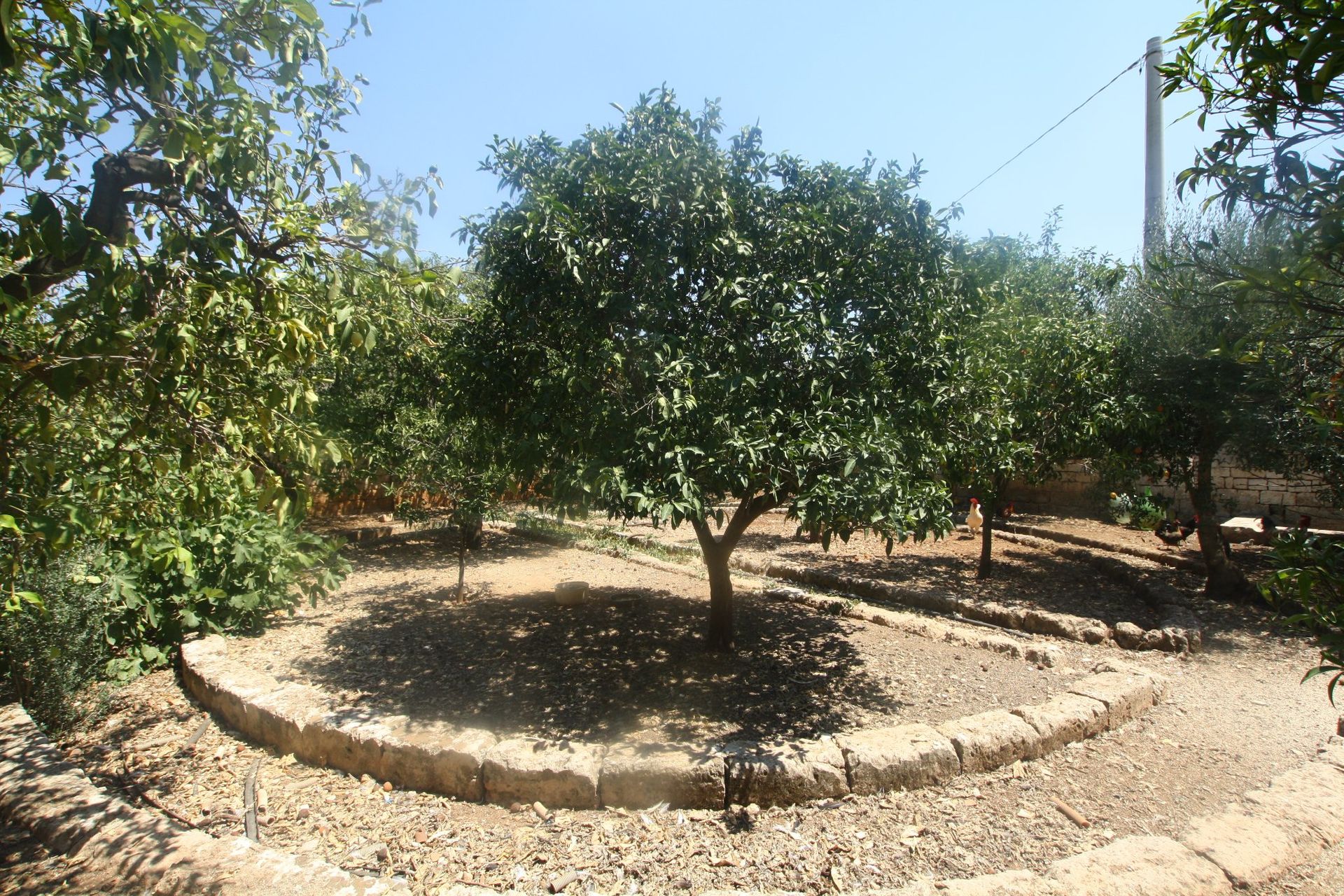 Haus im Ostuni, Apulia 11055556