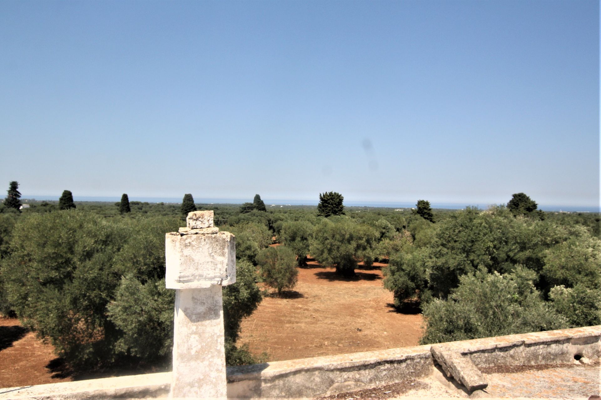 मकान में Ostuni, Apulia 11055556