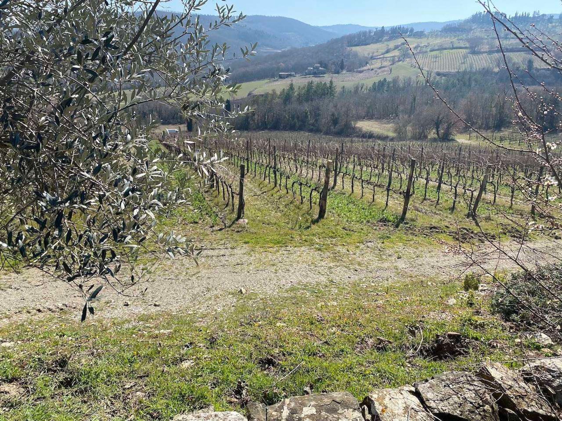 casa no Castellina in Chianti, Toscana 11055675