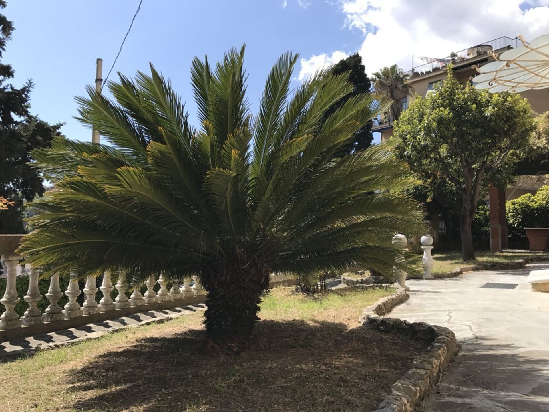 Casa nel Rapallo, Liguria 11055702