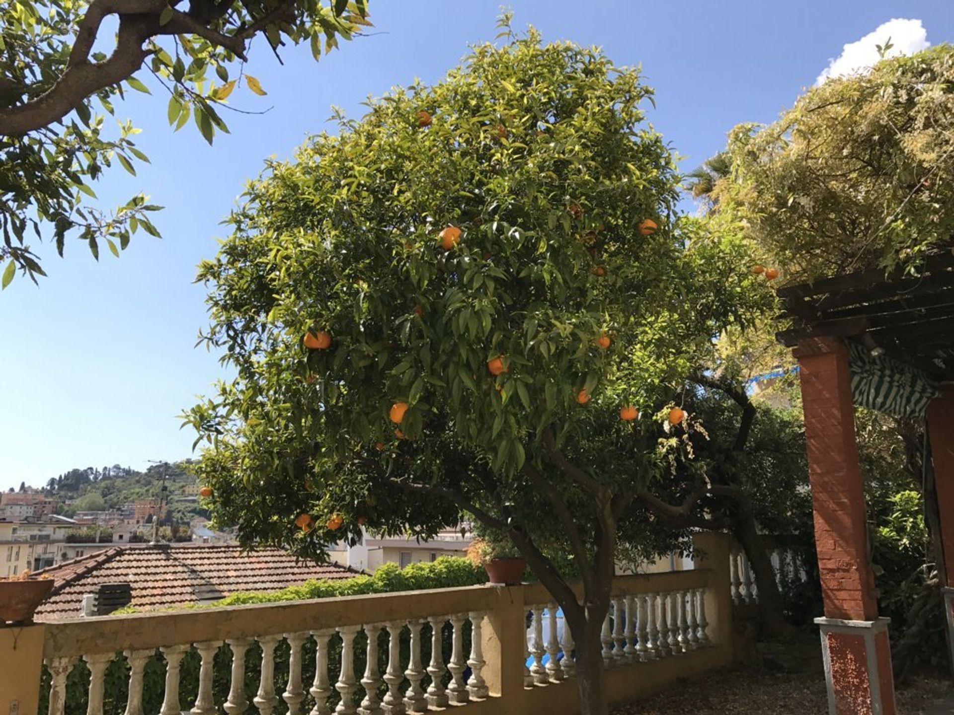 жилой дом в Rapallo, Liguria 11055703