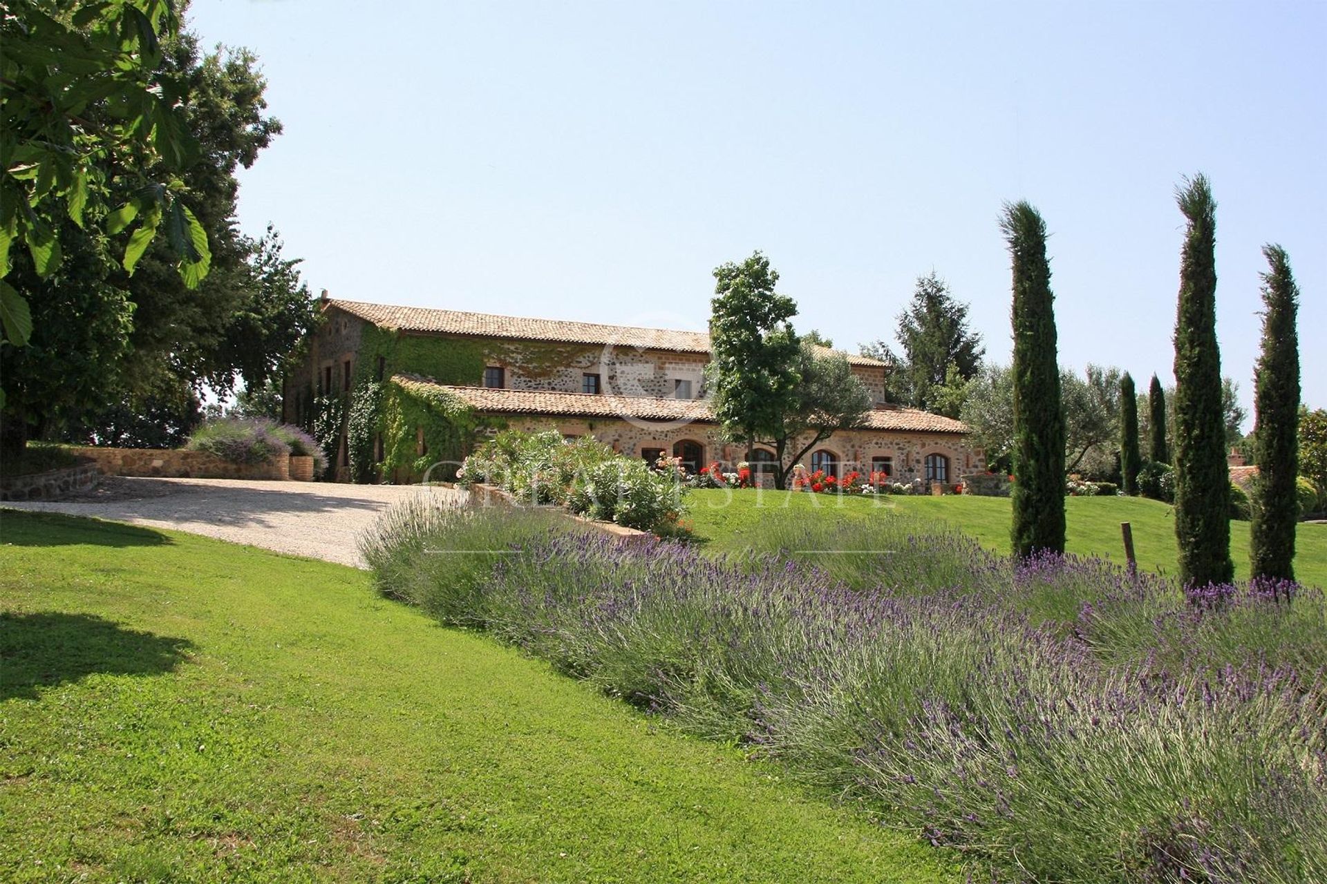 House in San Lorenzo Nuovo, Lazio 11055881