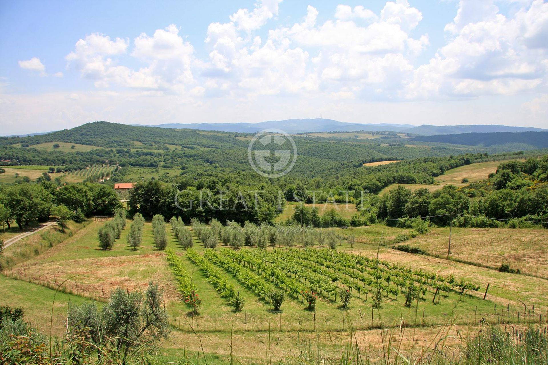 σπίτι σε Montegabbione, Umbria 11055893