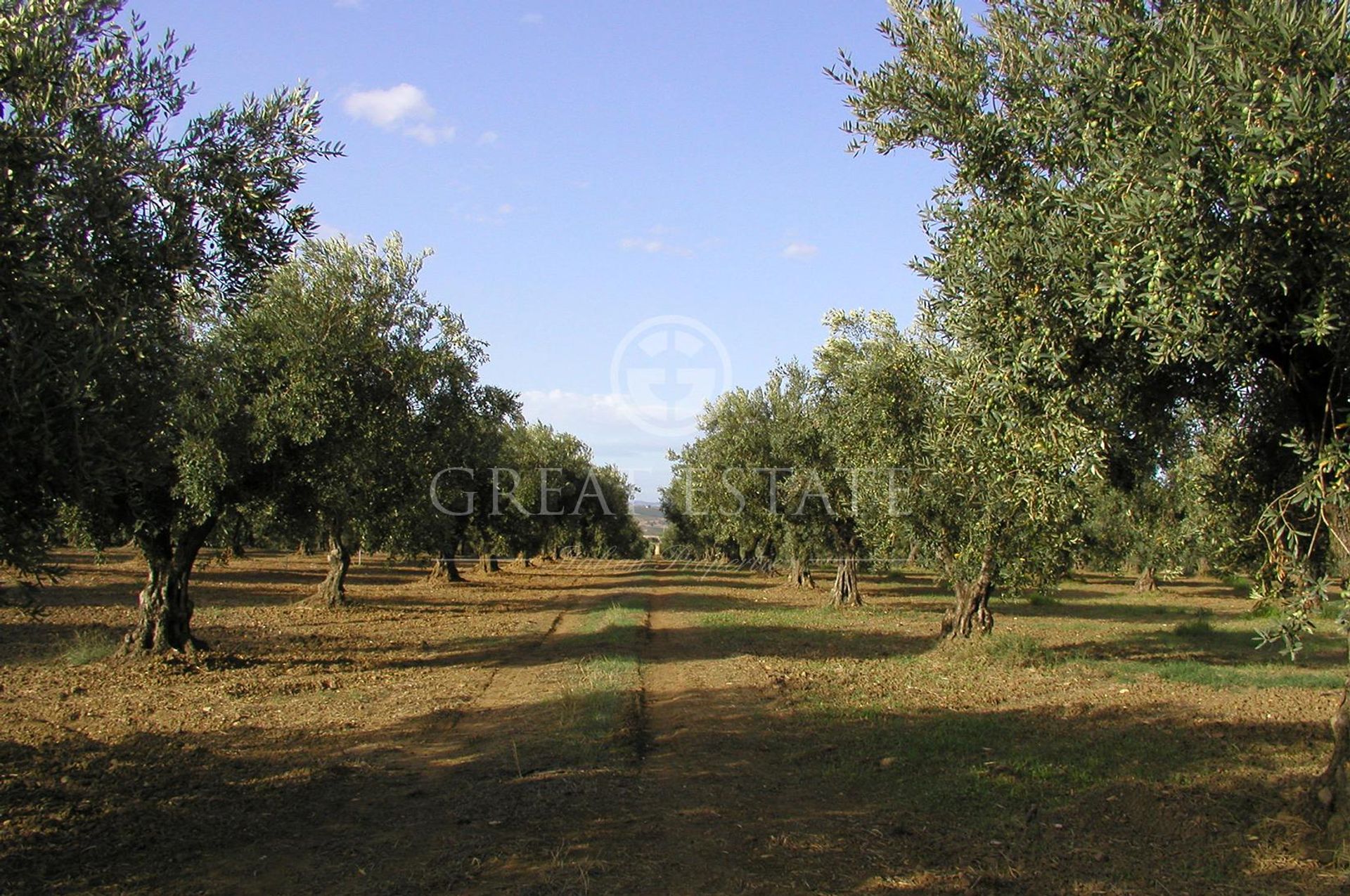 Andere im Castelvetrano, Sicily 11055904