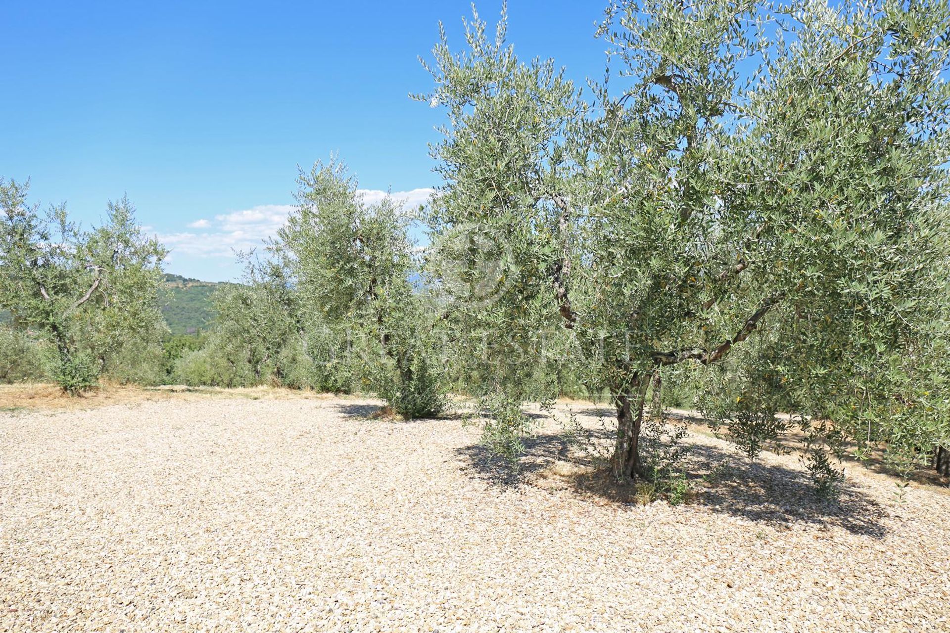 casa no Incisa em Valdarno, Toscana 11056012