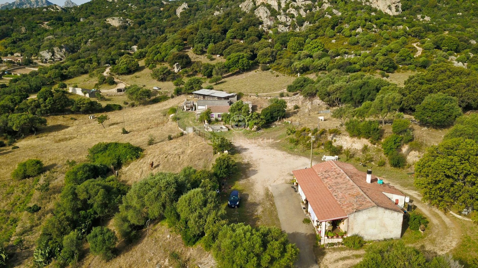 Huis in Olbia, Sardinia 11056050