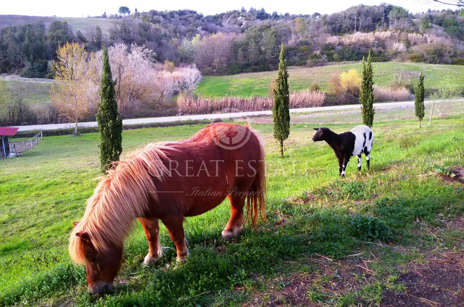 жилой дом в , Tuscany 11056073