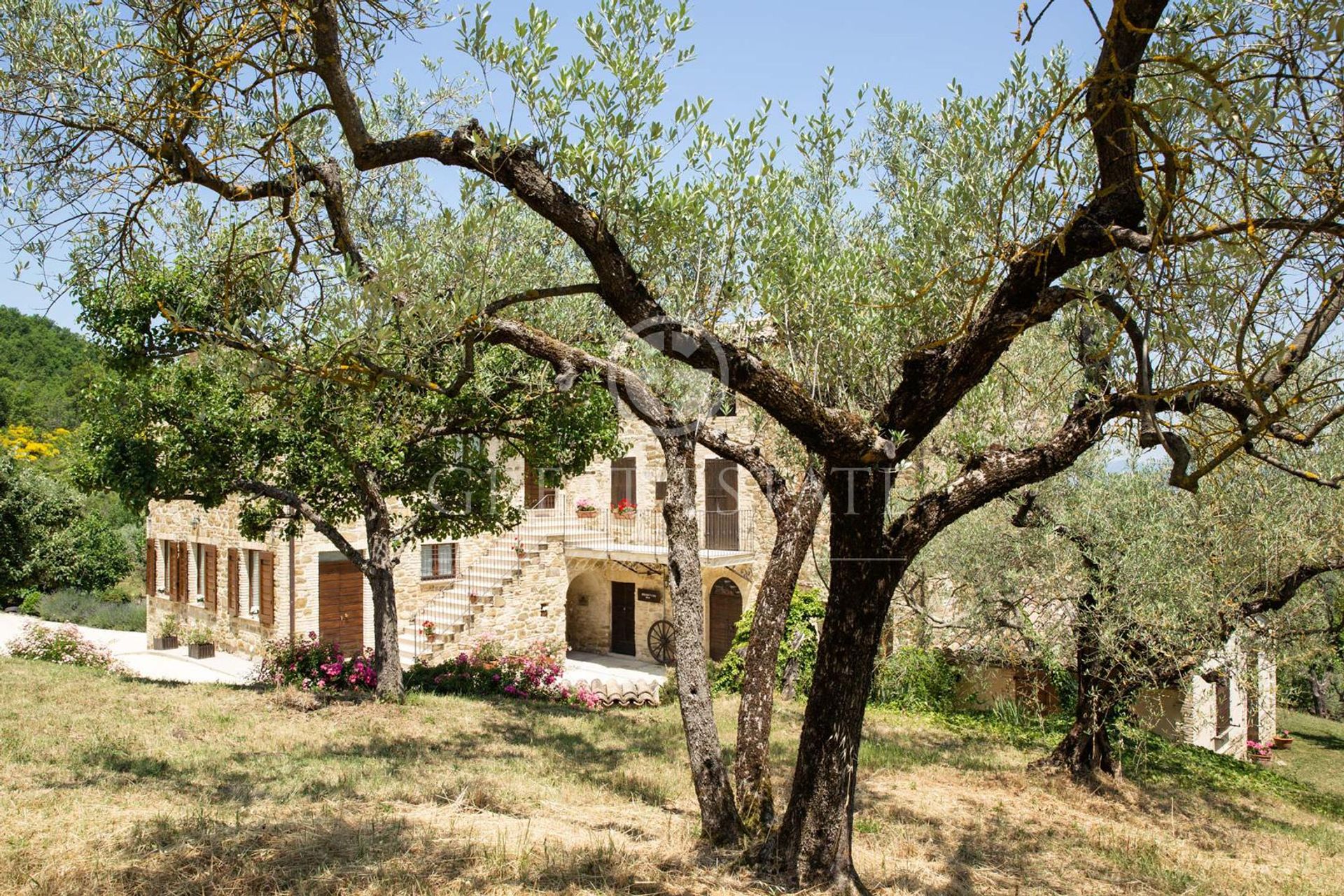 casa en Cannara, Umbria 11056104