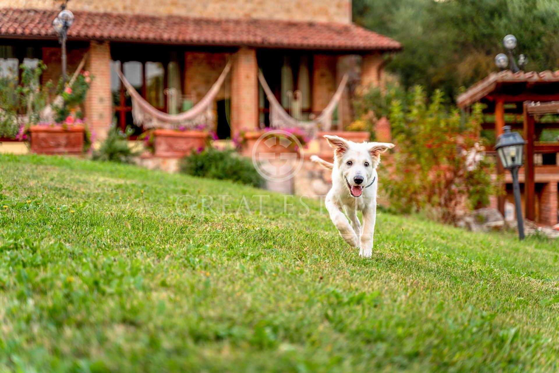 Huis in Todi, Umbria 11056113