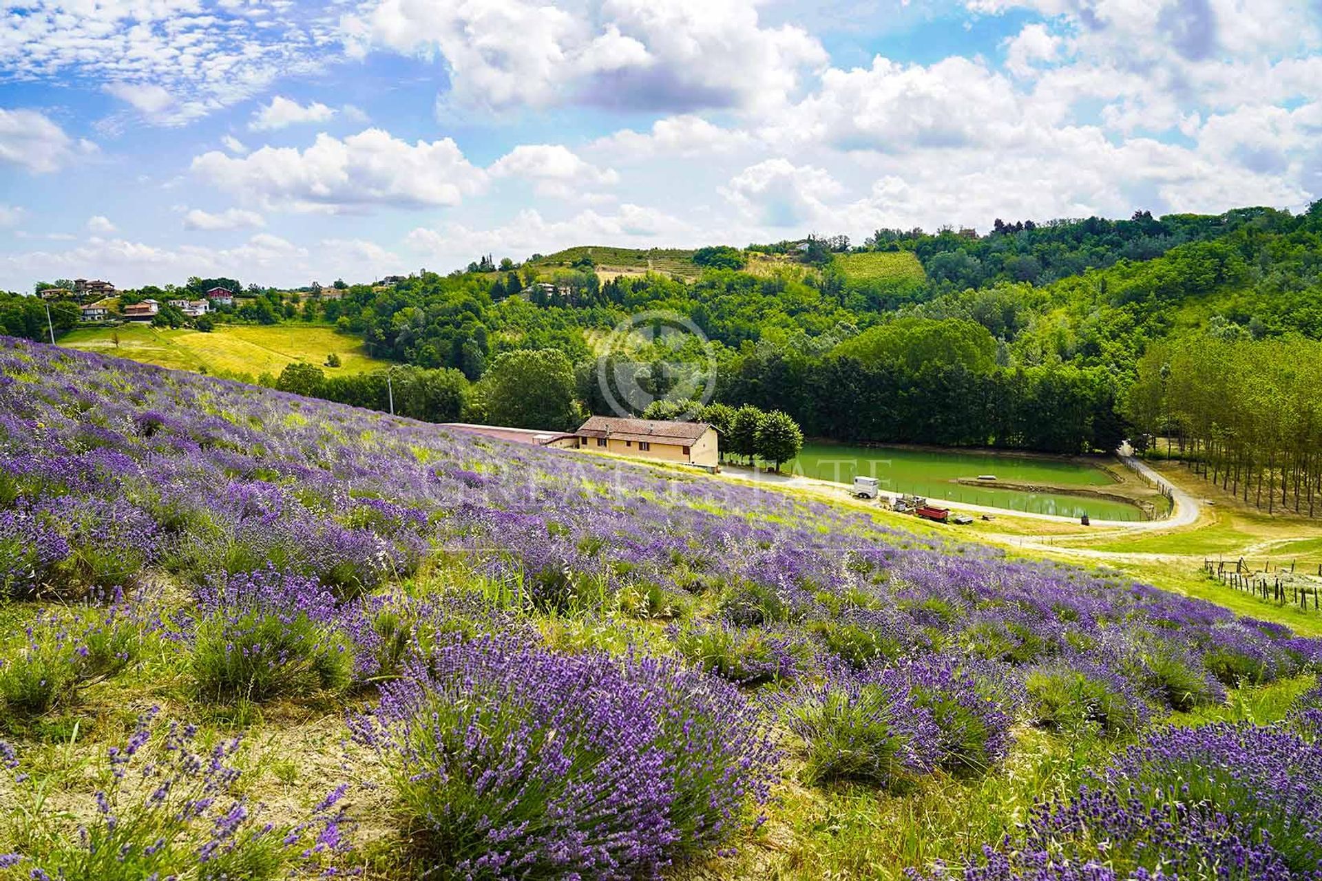 casa no trisóbio, Piemonte 11056289