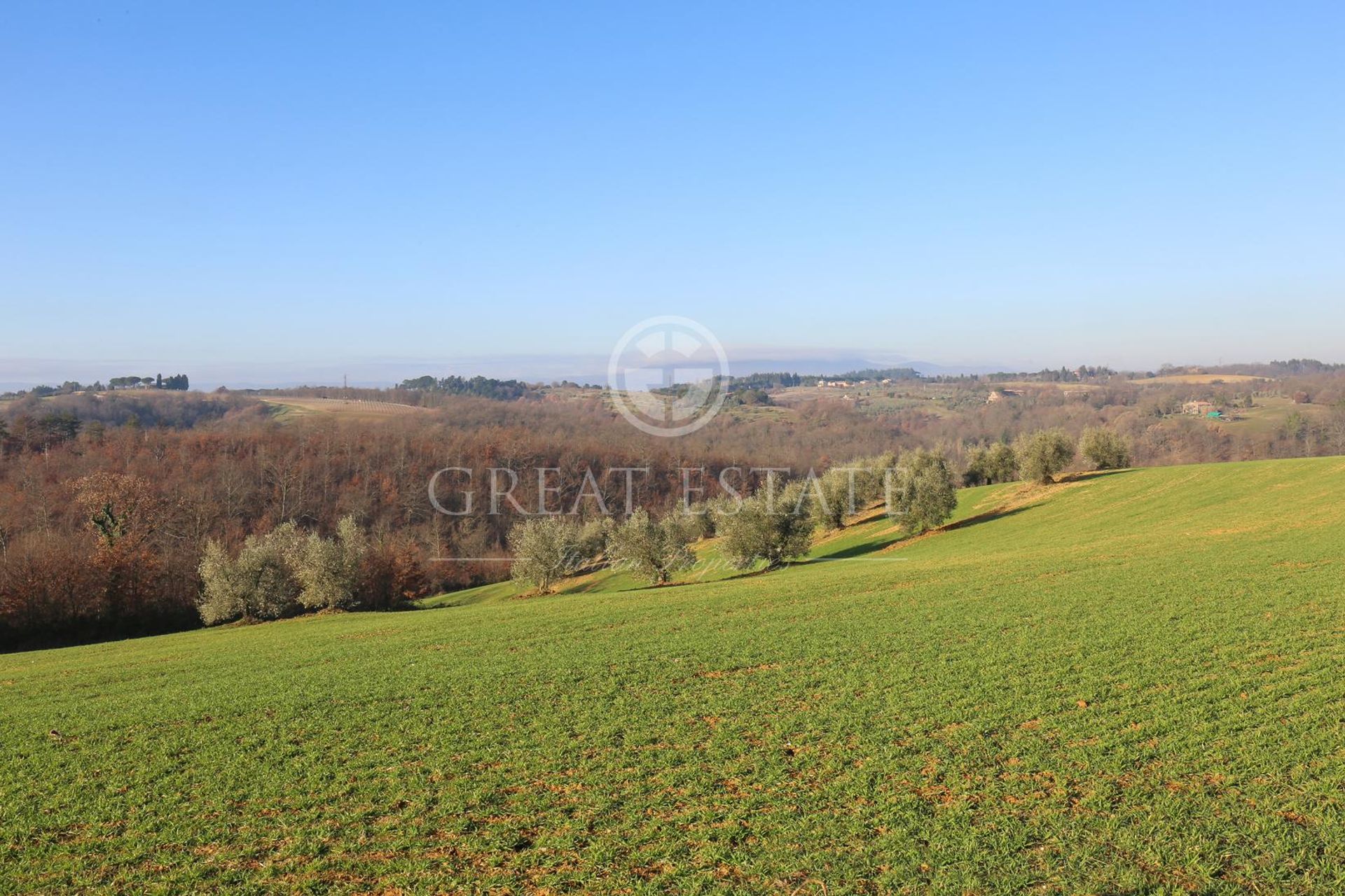 Αλλα σε Monteleone d'Orvieto, Umbria 11056300