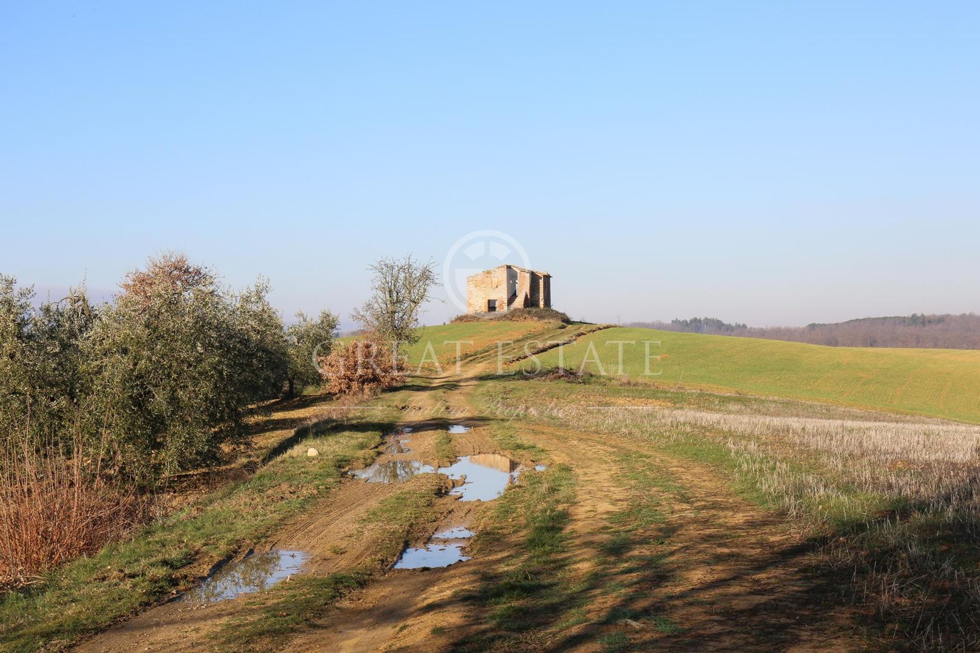 Andere im Monteleone d'Orvieto, Umbrien 11056303