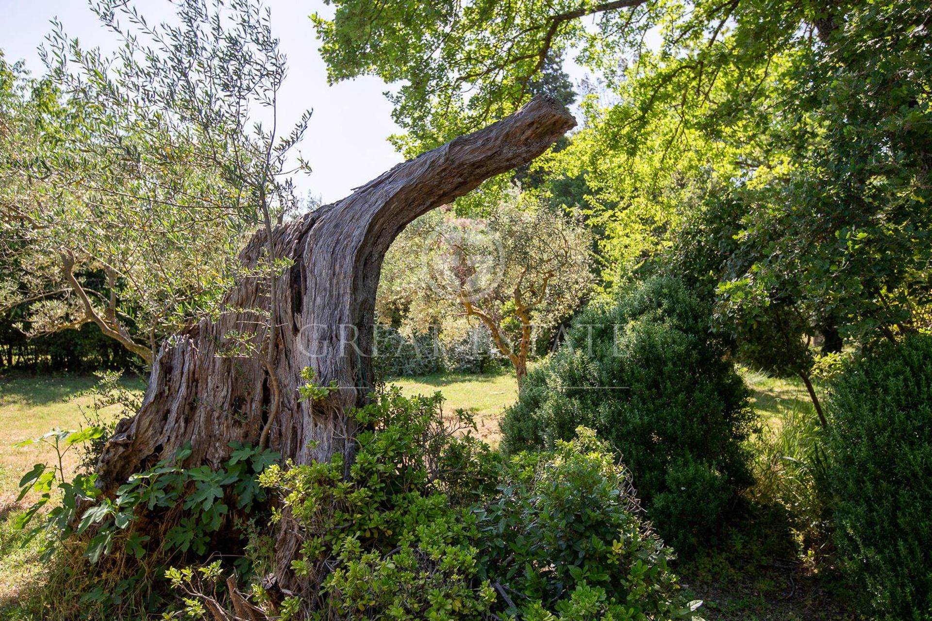 Talo sisään Sarteano, Tuscany 11056337