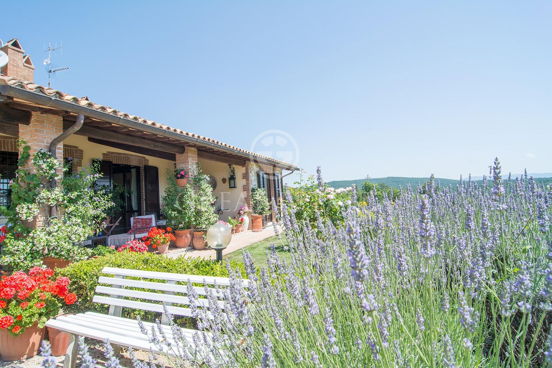 casa en Montecchio, Umbria 11056470