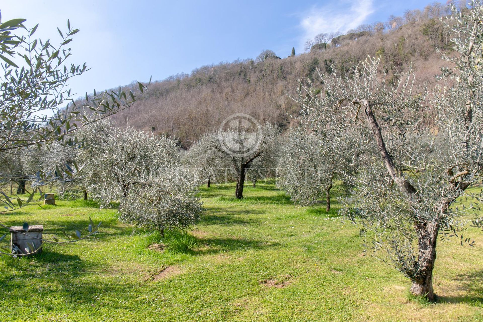 Hus i Castel Giorgio, Umbria 11056687