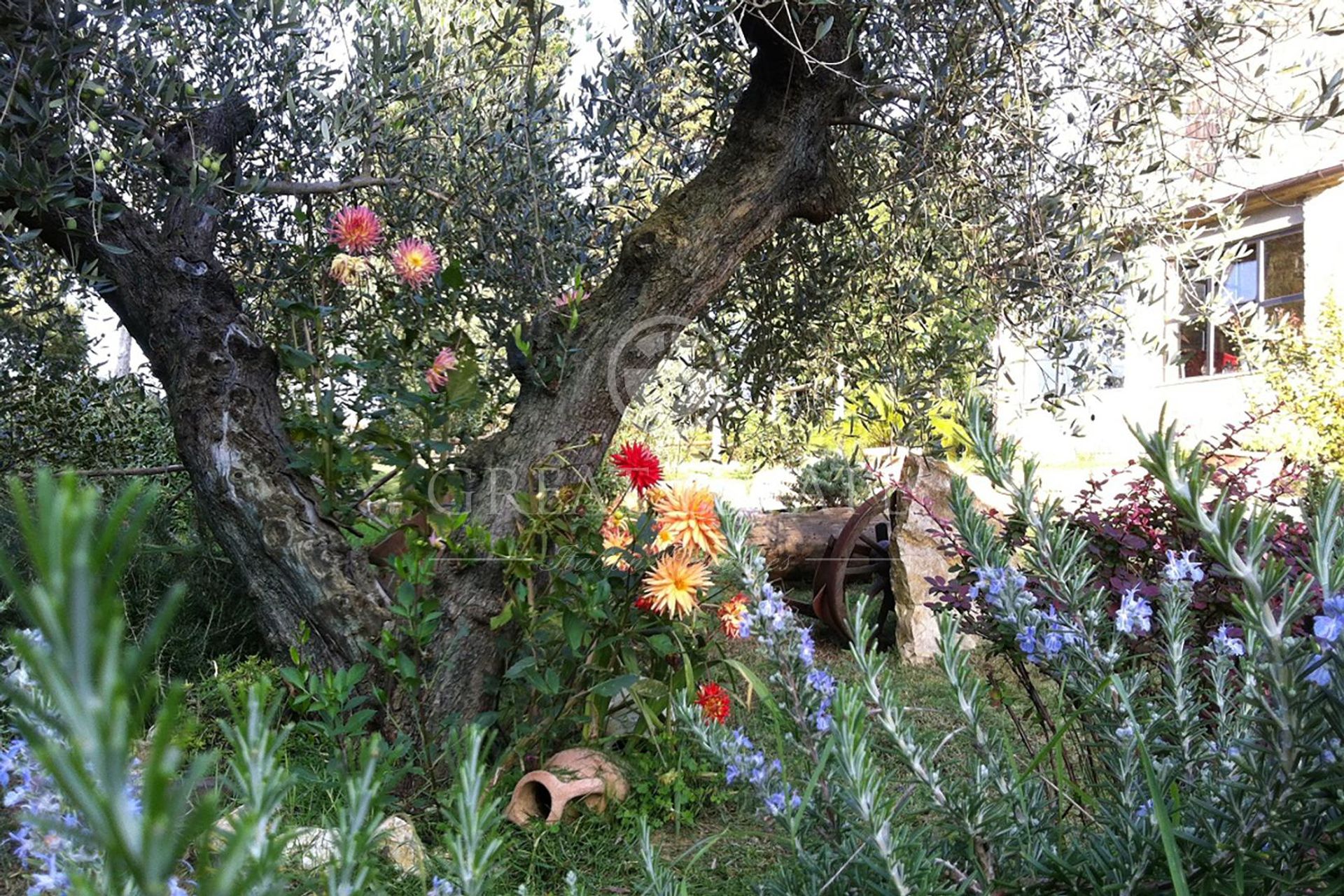 casa en Passignano sul Trasimeno, Umbria 11056695