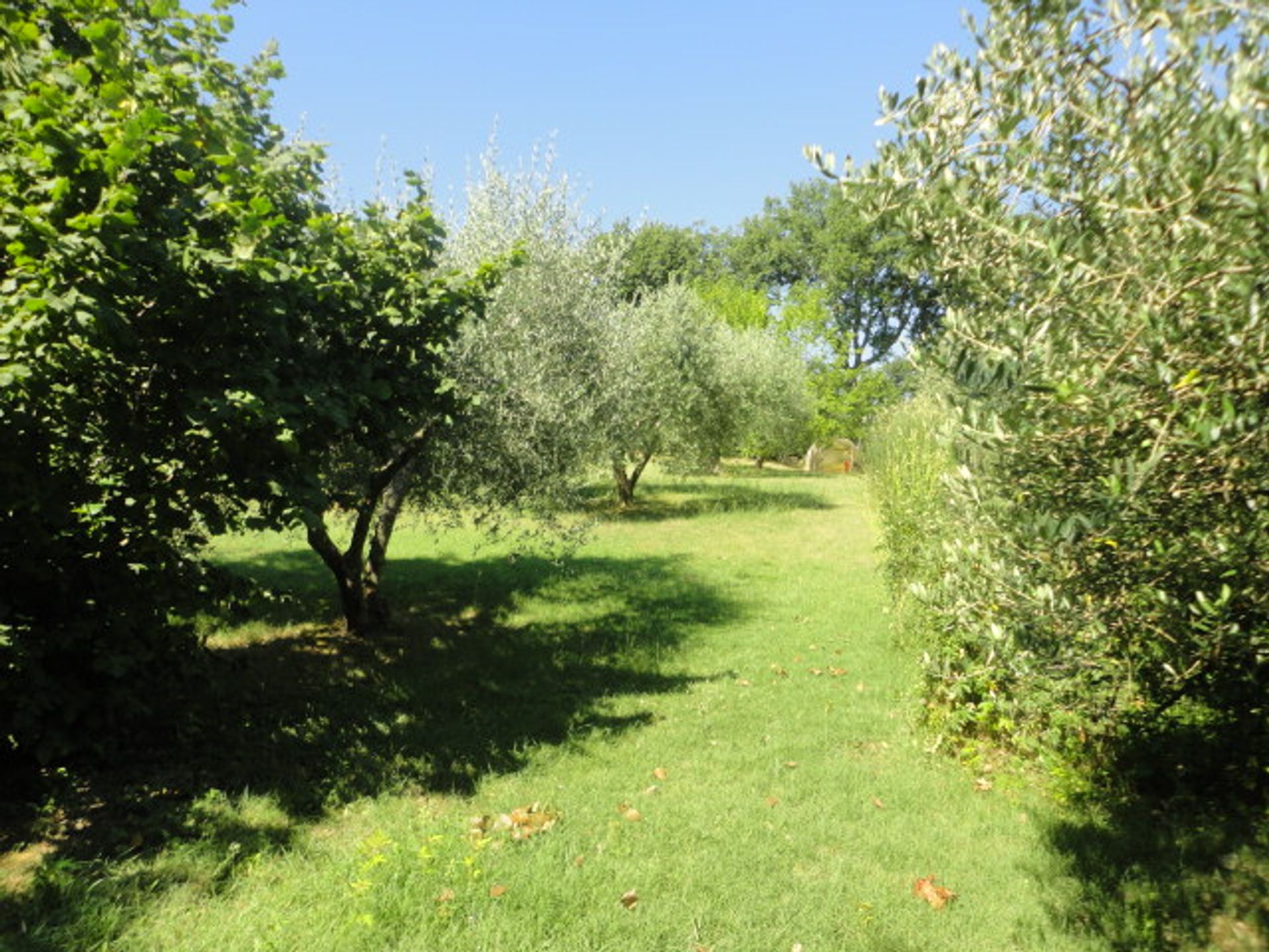 Rumah di Pienza, Tuscany 11057097