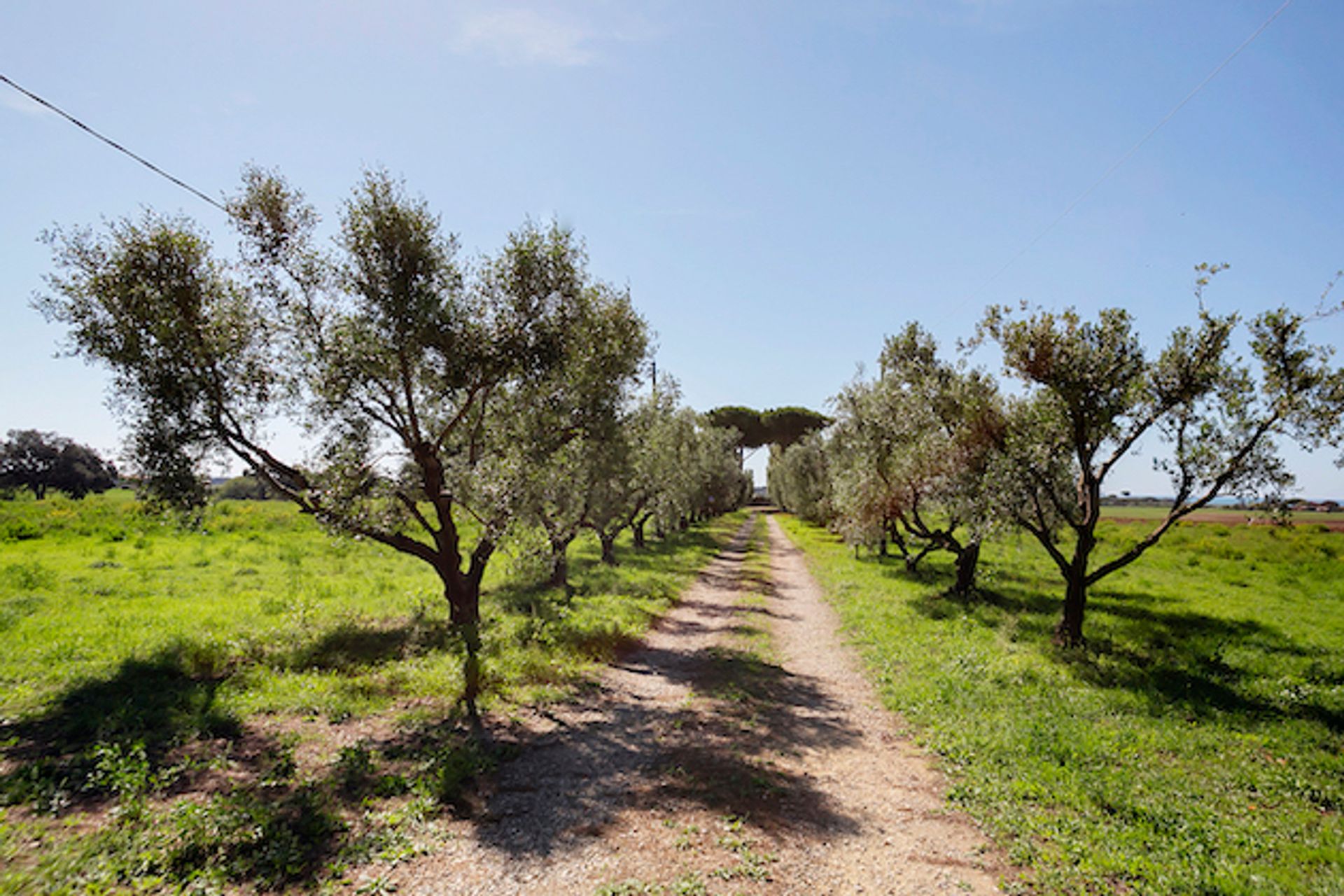 rumah dalam Tarquinia, Lazio 11057165