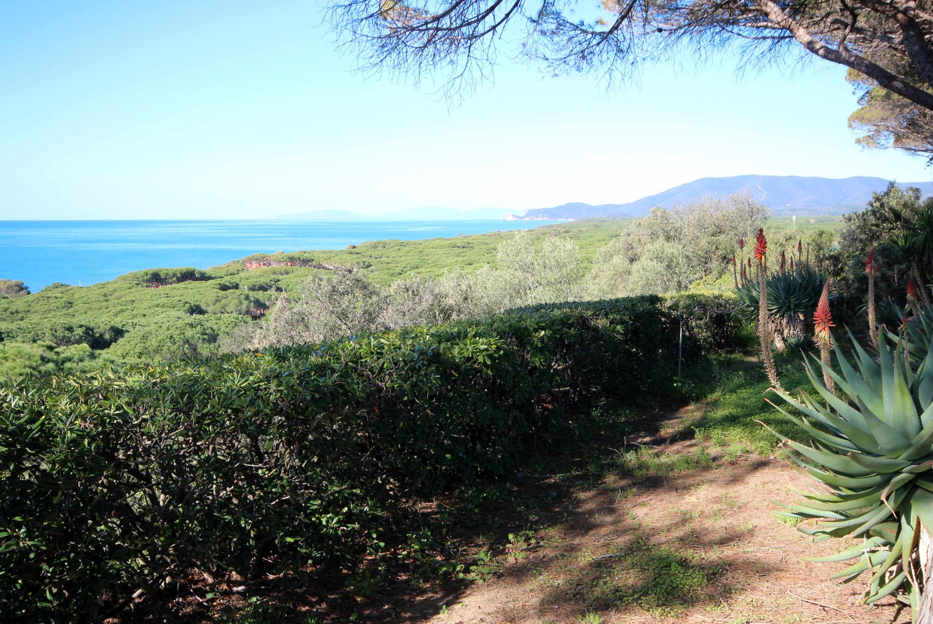 Будинок в Castiglione della Pescaia, Tuscany 11057937