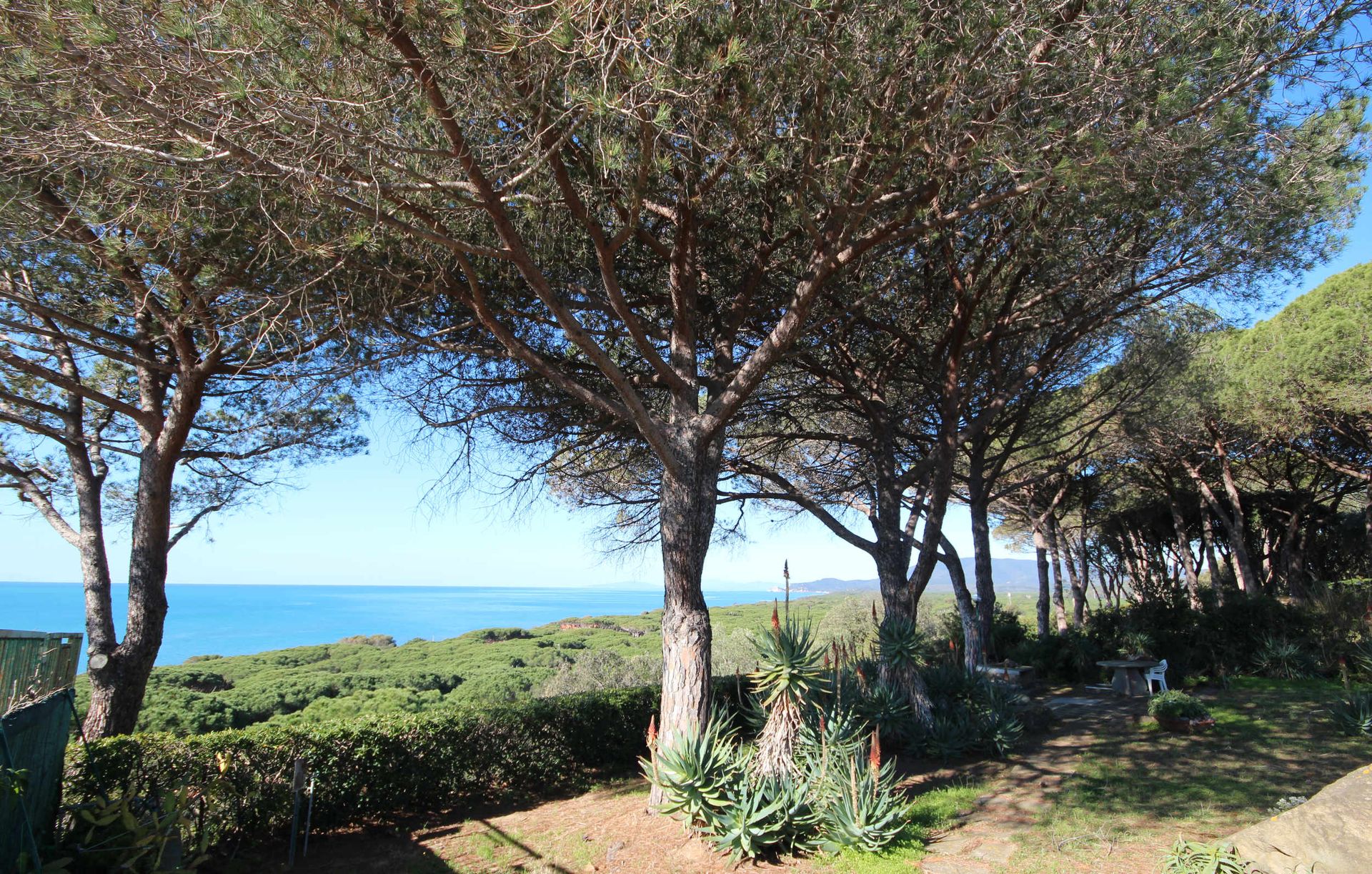 rumah dalam Castiglione della Pescaia, Tuscany 11057937