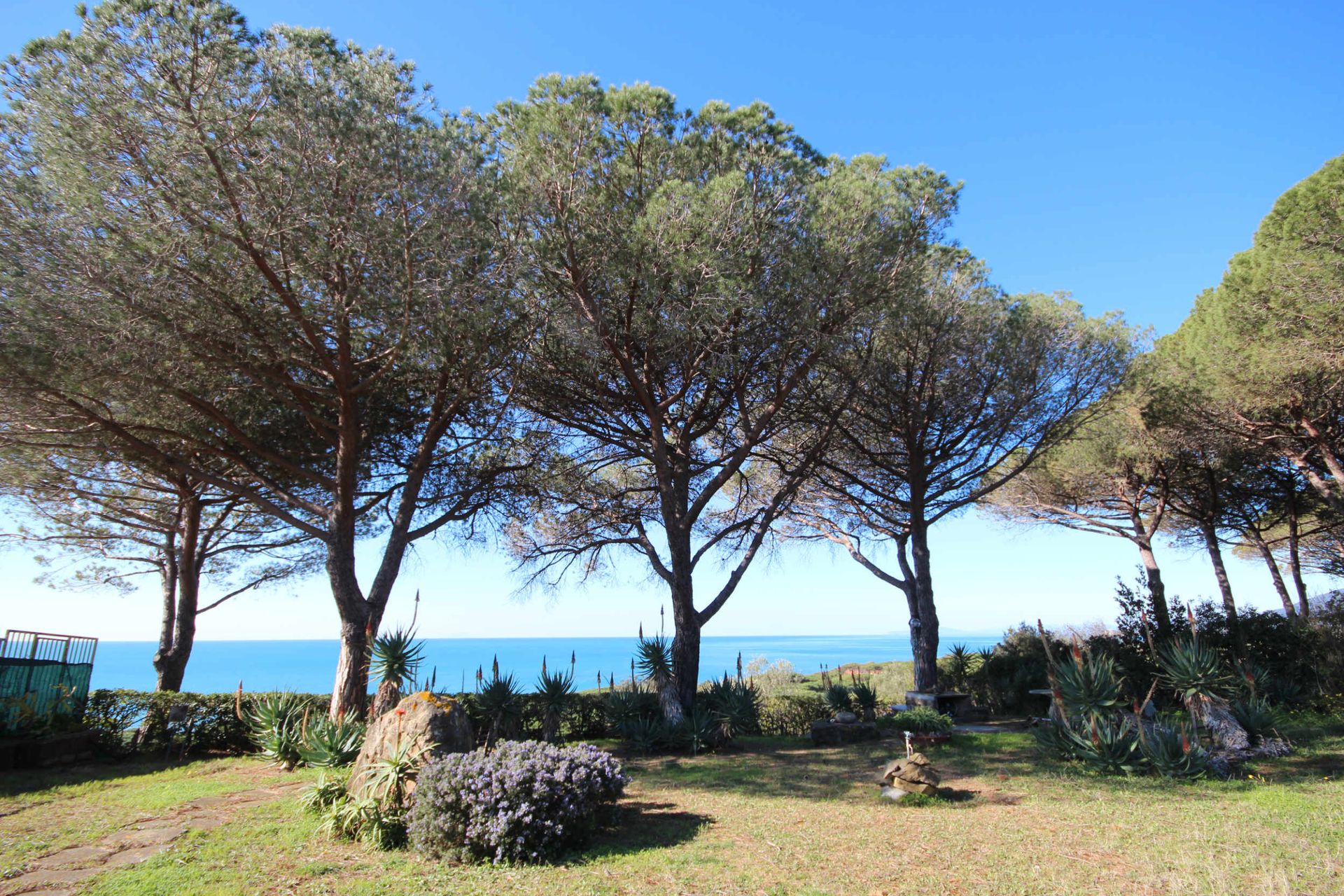 Будинок в Castiglione della Pescaia, Tuscany 11057937