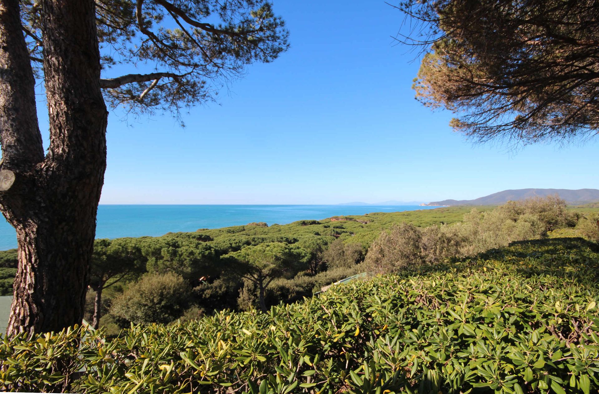 Talo sisään Castiglione della Pescaia, Tuscany 11057938